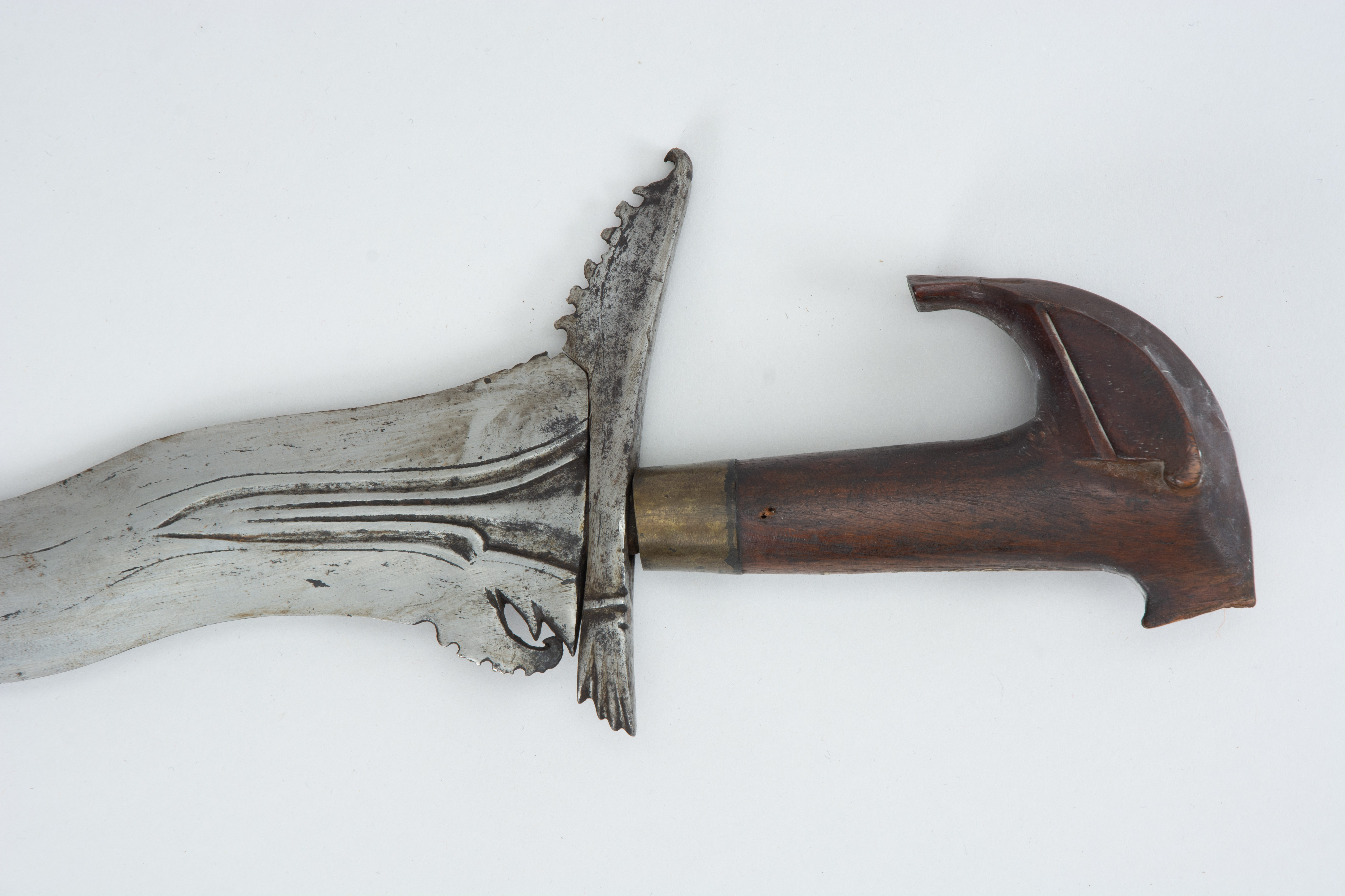 detail view (c) Field Museum of Natural History - CC BY-NC 4.0