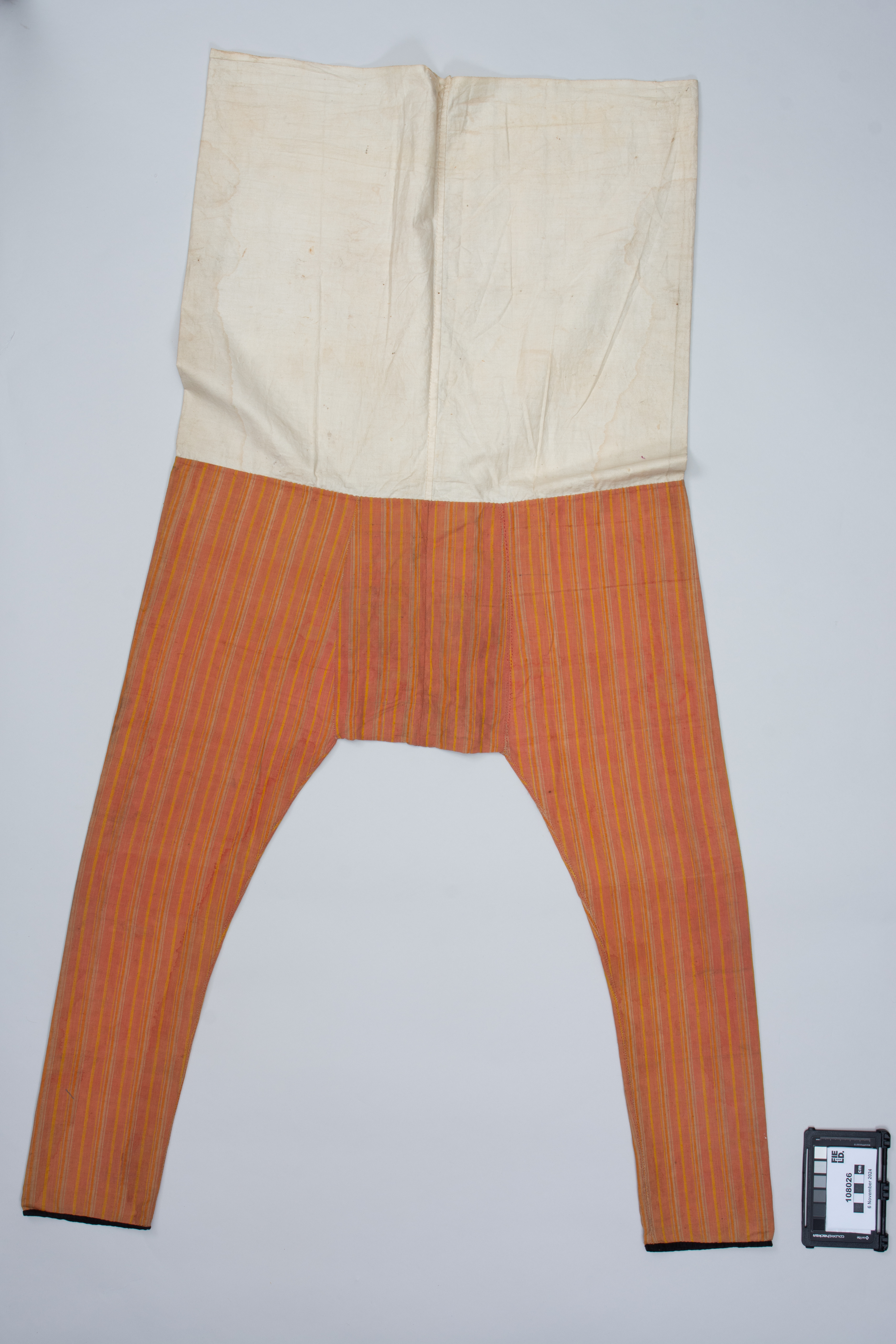 overall view (c) Field Museum of Natural History - CC BY-NC 4.0