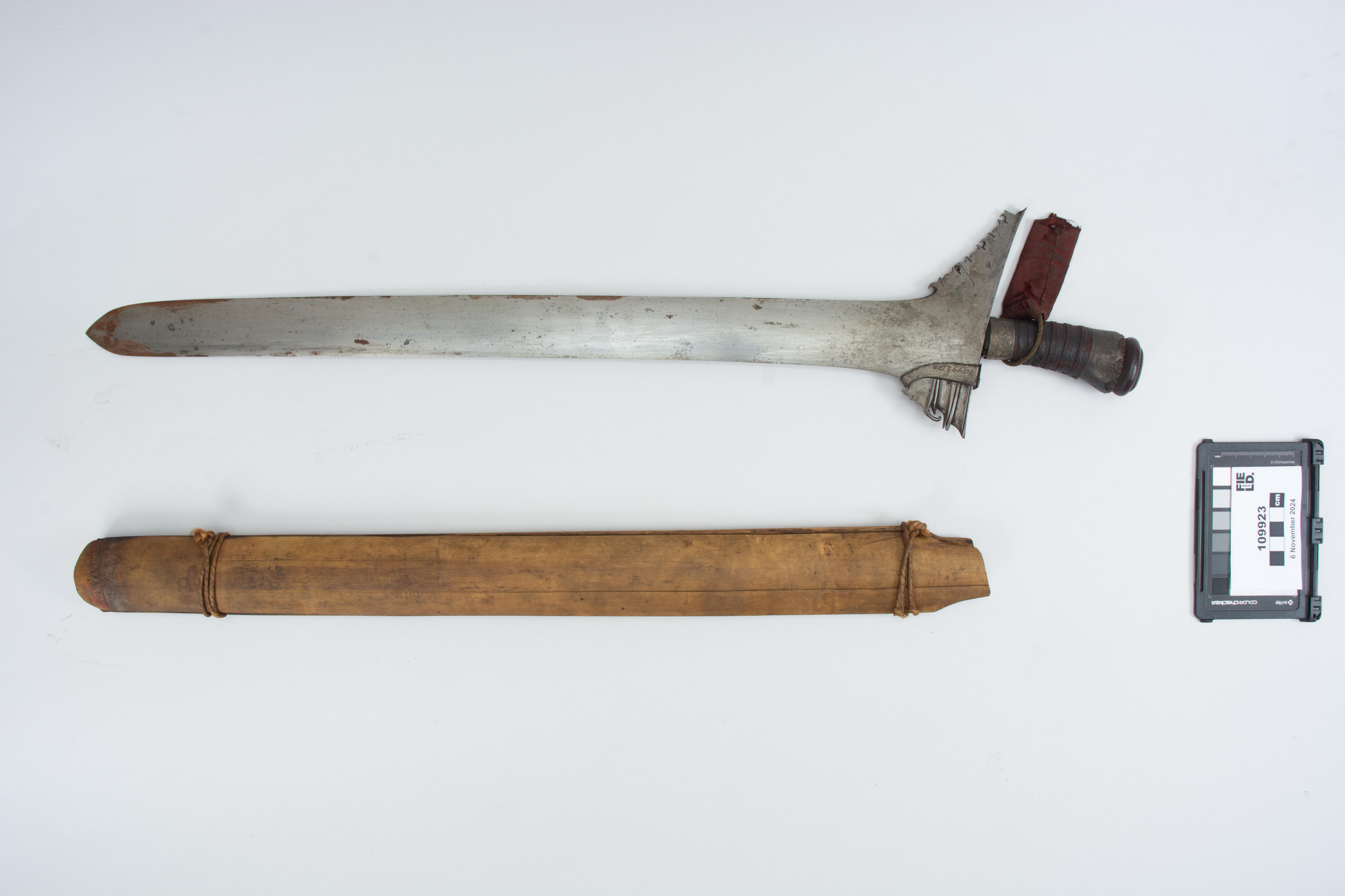 overall view (c) Field Museum of Natural History - CC BY-NC 4.0