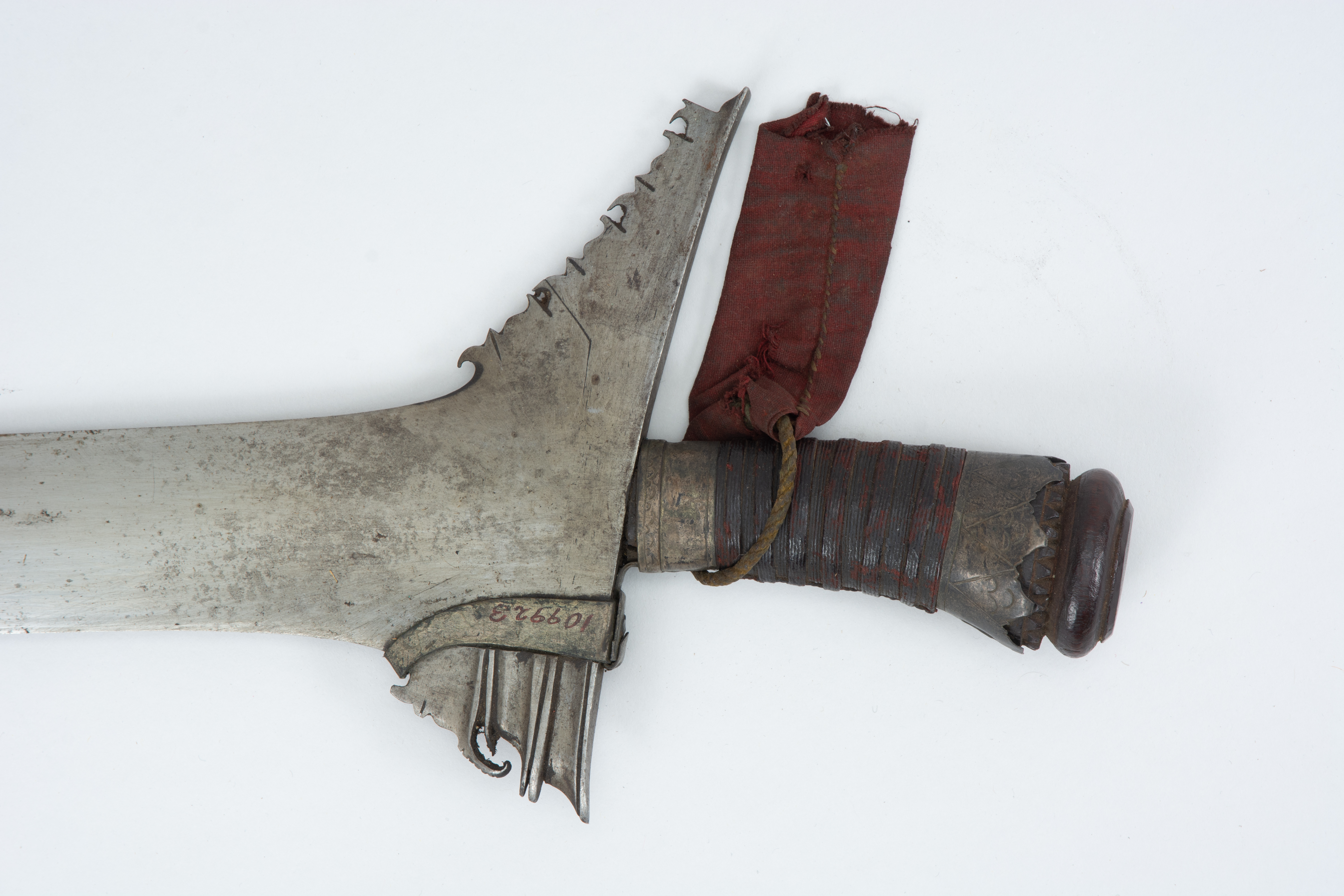 detail view (c) Field Museum of Natural History - CC BY-NC 4.0