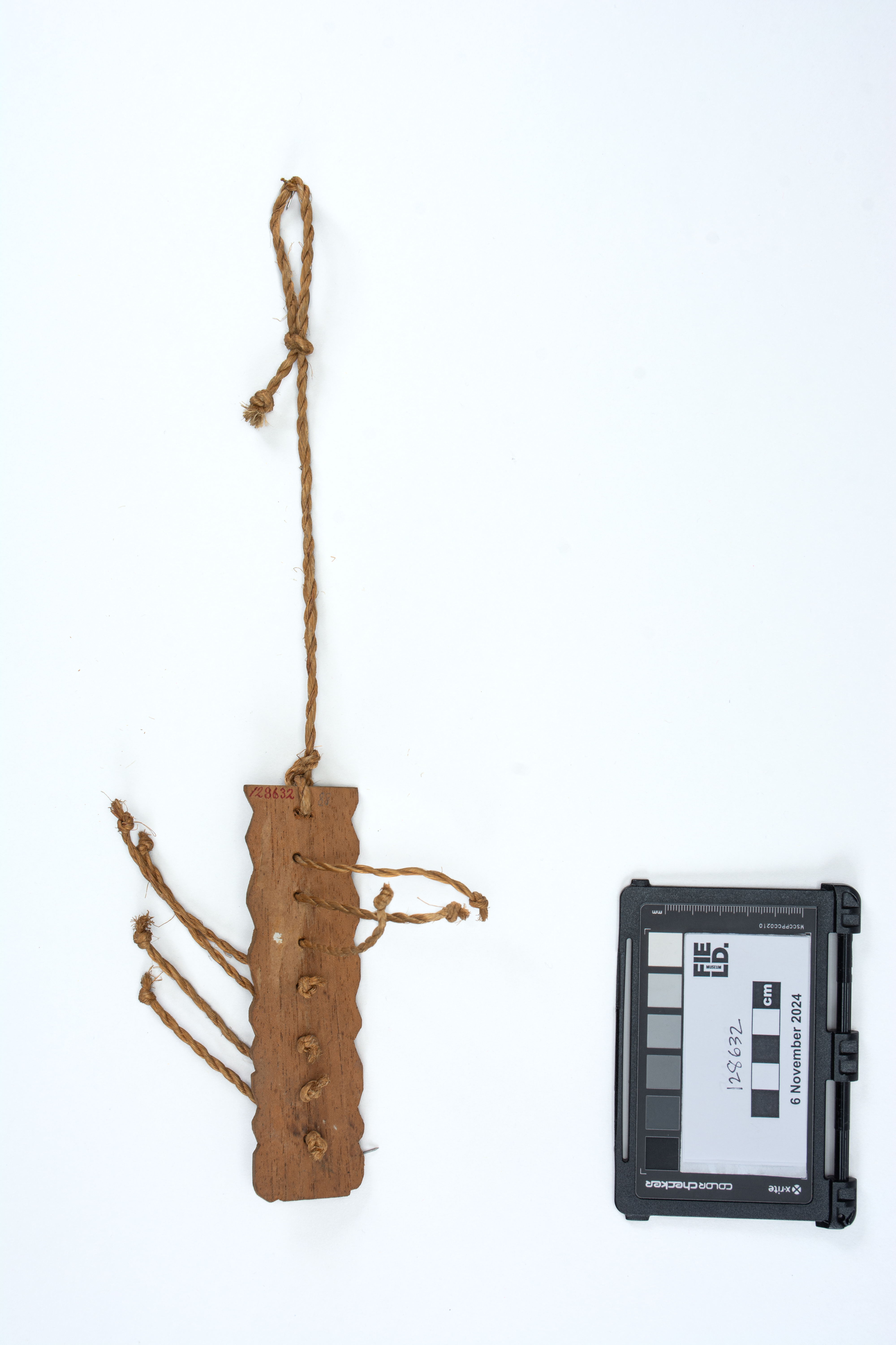 overall view (c) Field Museum of Natural History - CC BY-NC 4.0