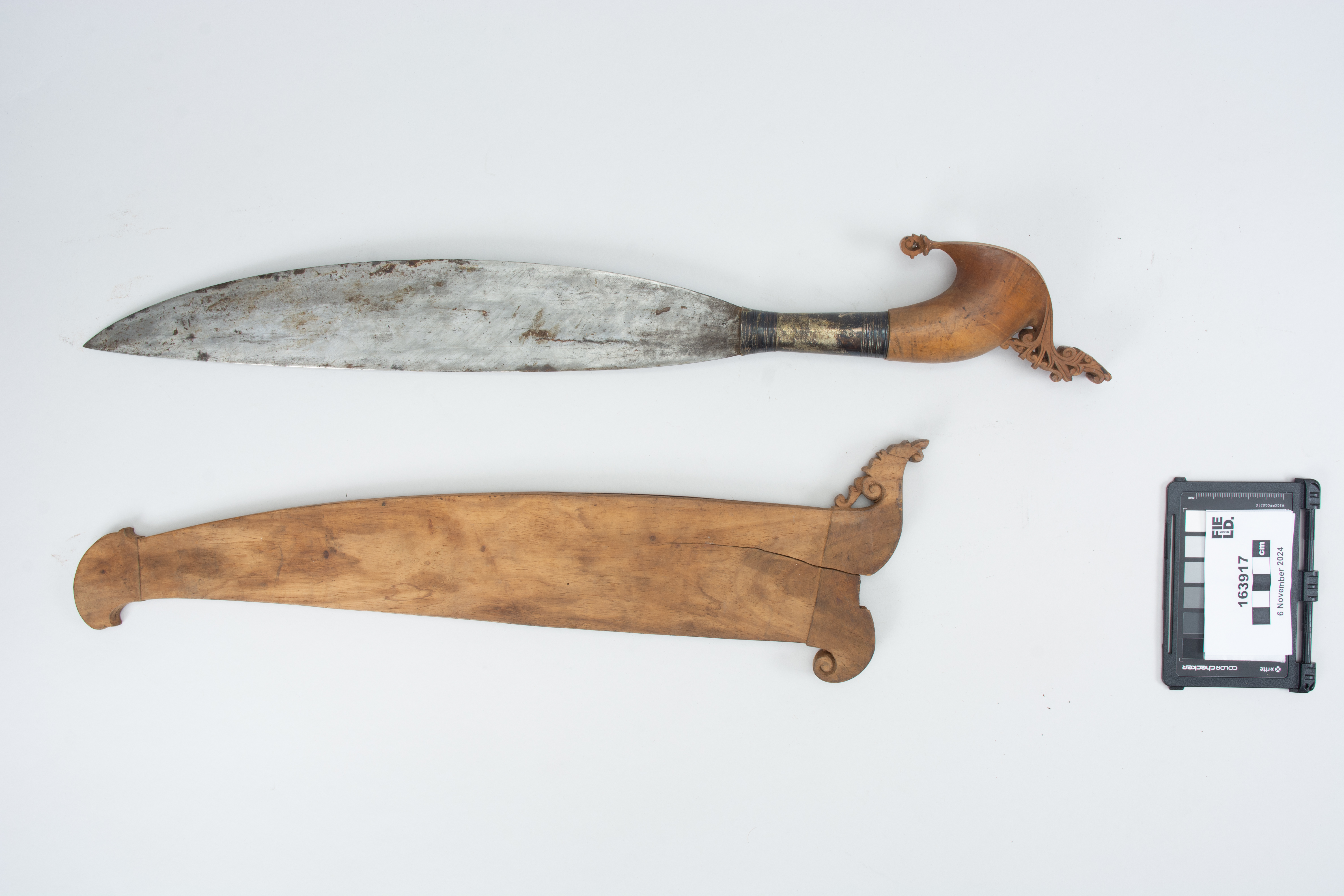 overall view (c) Field Museum of Natural History - CC BY-NC 4.0