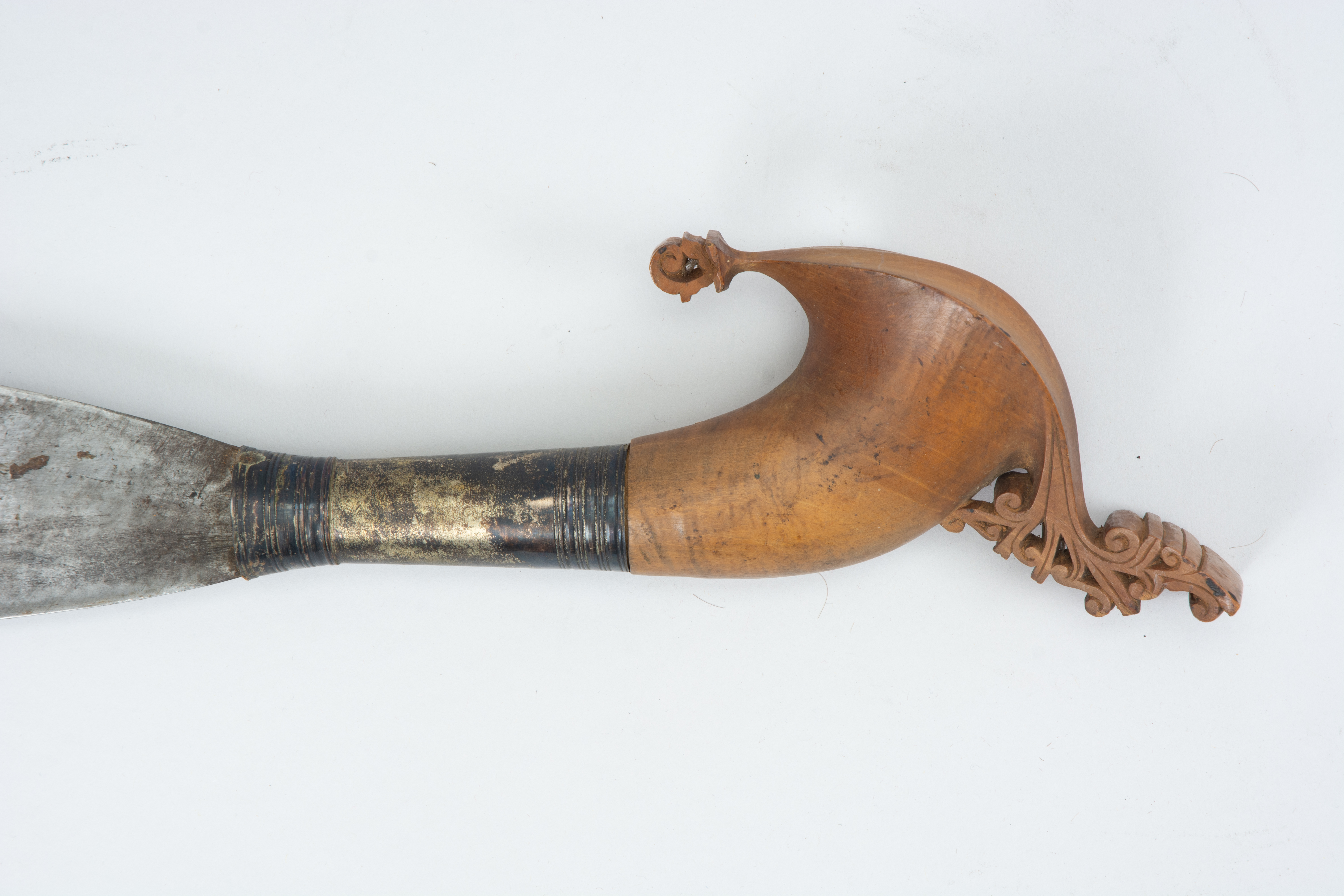 detail view (c) Field Museum of Natural History - CC BY-NC 4.0