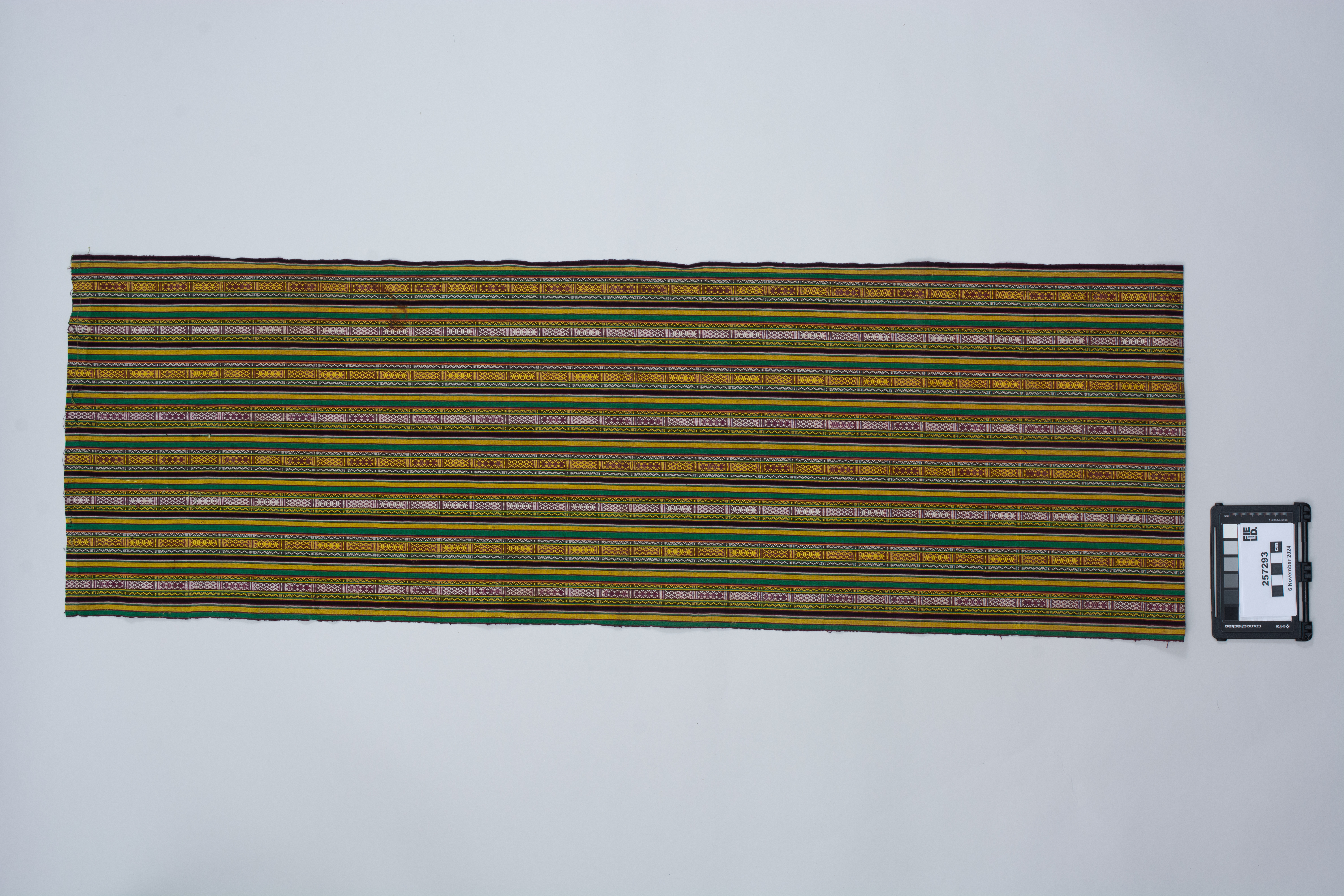 overall view (c) Field Museum of Natural History - CC BY-NC 4.0