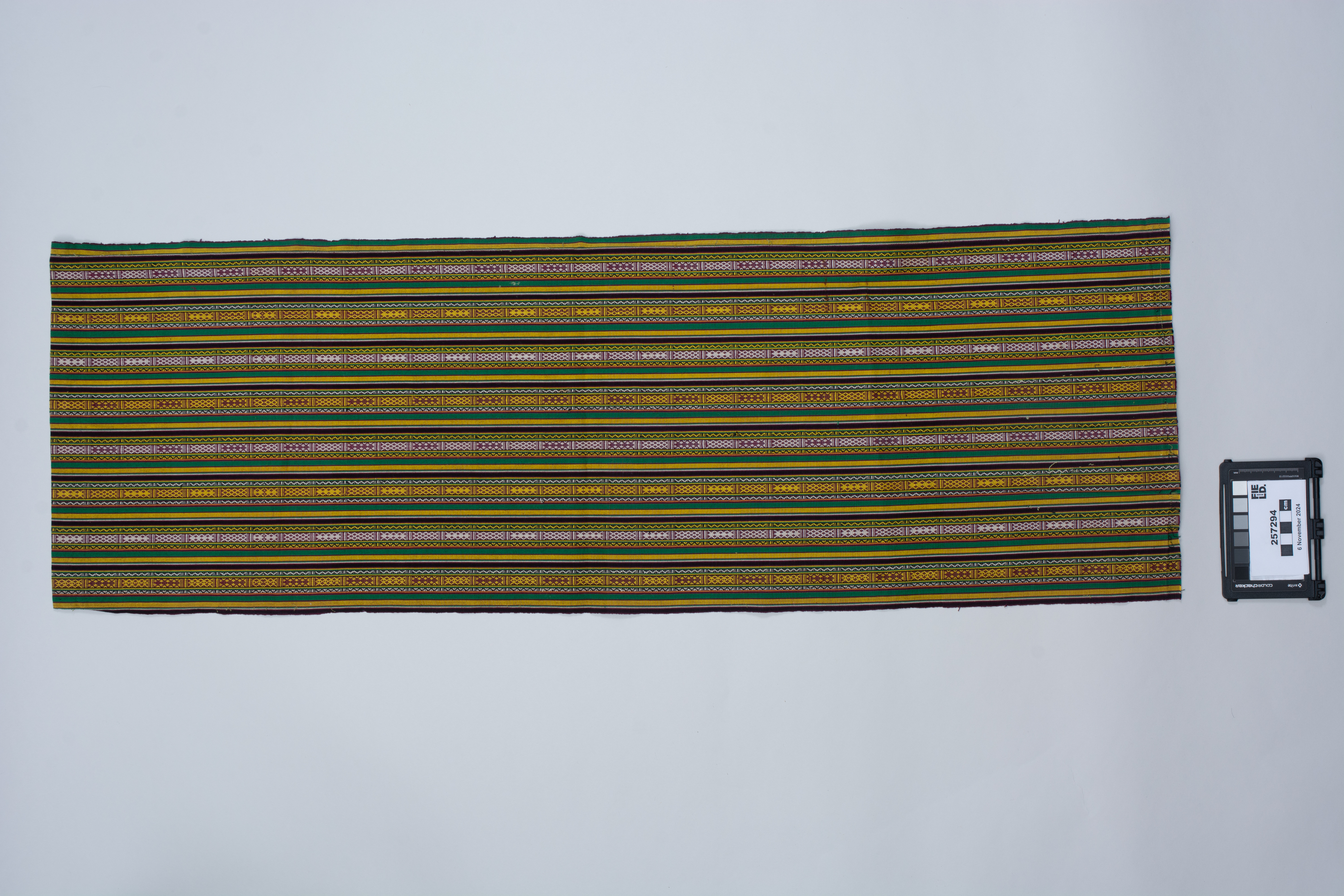 overall view (c) Field Museum of Natural History - CC BY-NC 4.0