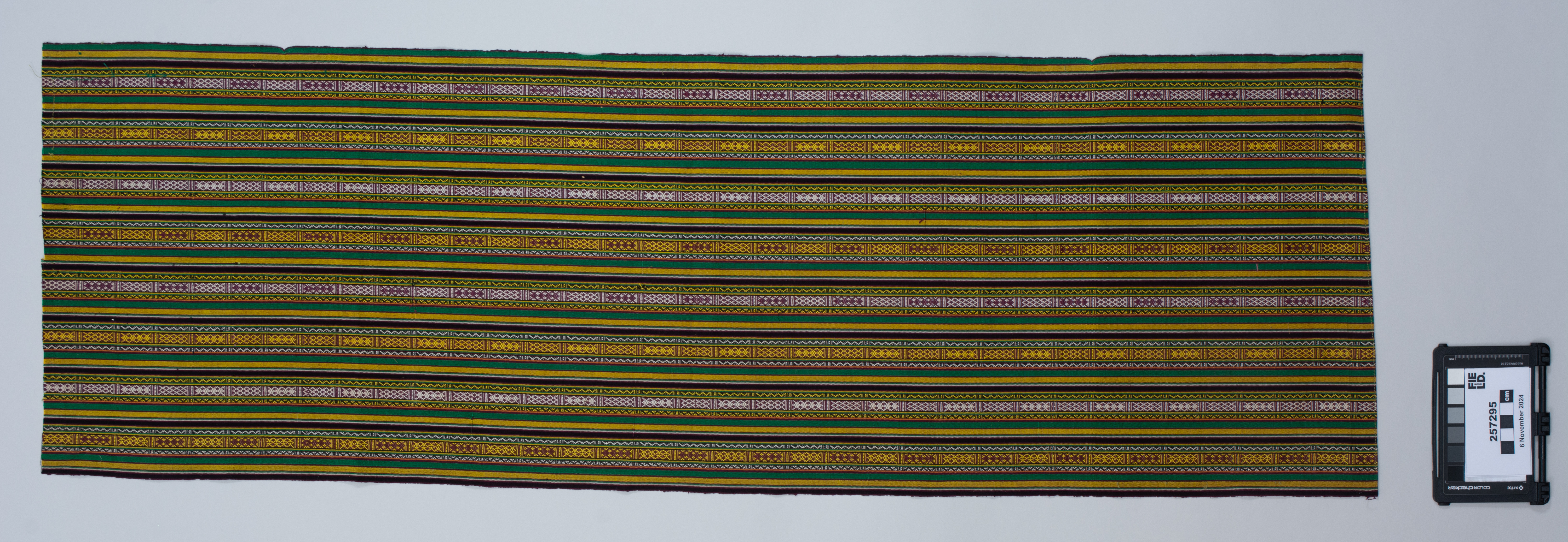 overall view (c) Field Museum of Natural History - CC BY-NC 4.0