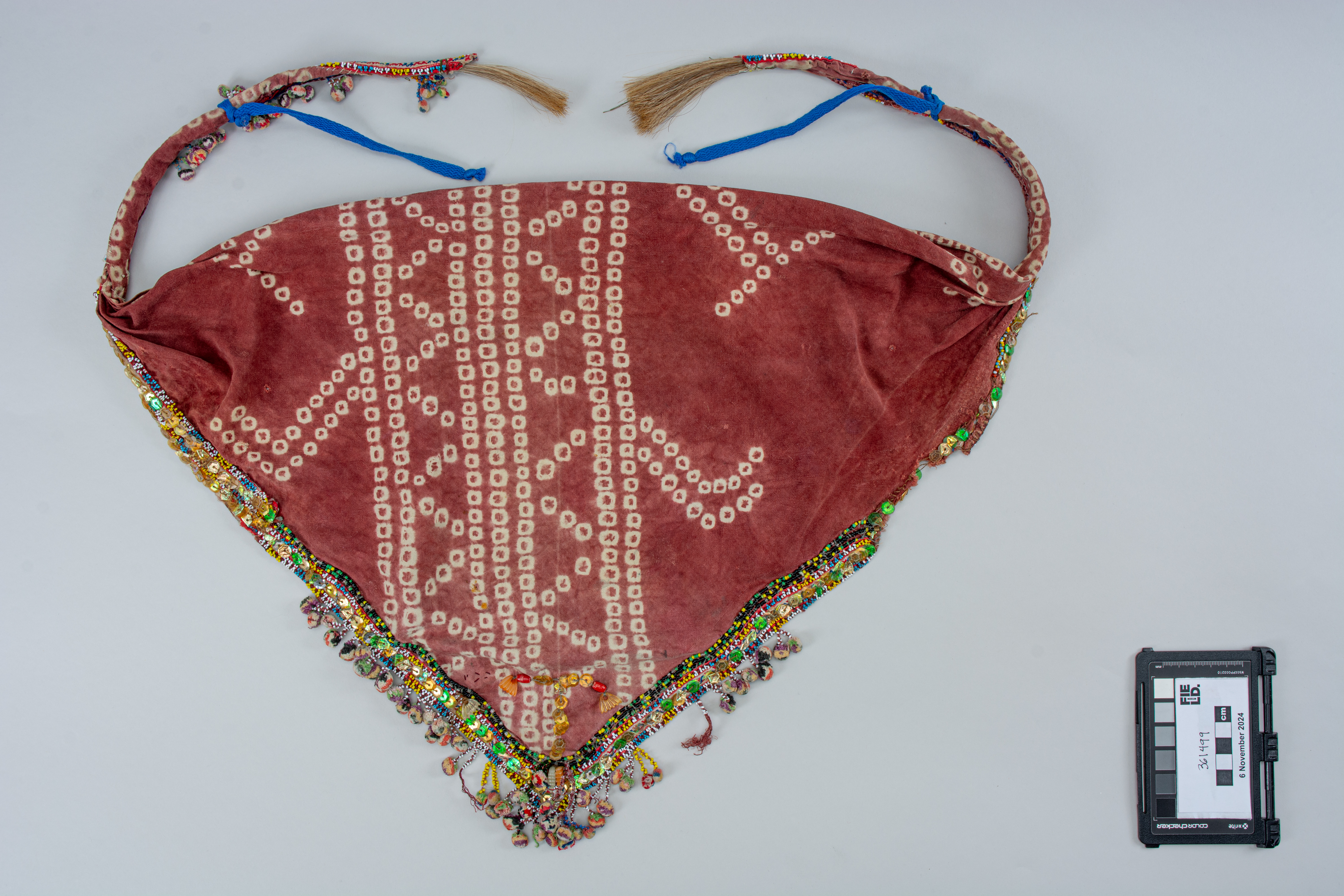 overall view (c) Field Museum of Natural History - CC BY-NC 4.0