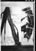 Billbergia stenopetala image