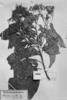 Esenbeckia cornuta image