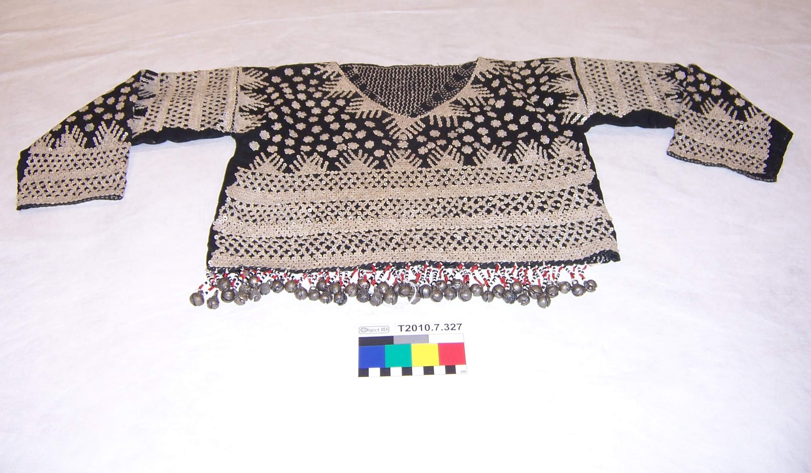 Incoming photograph. (c) Field Museum of Natural History - CC BY-NC 4.0