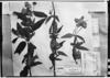 Calceolaria deflexa image
