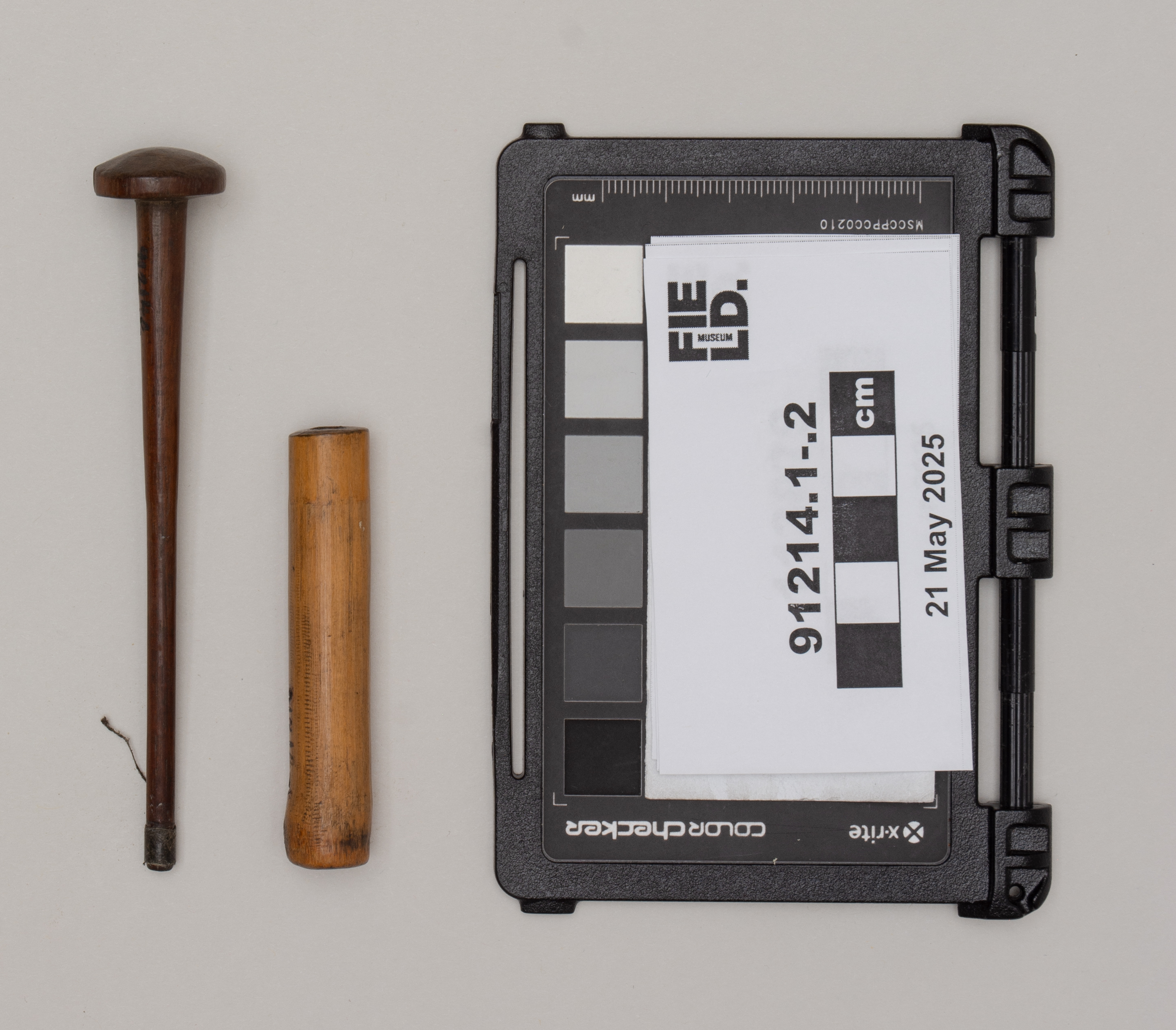 Subs .1-2: overall (c) Field Museum of Natural History - CC BY-NC 4.0