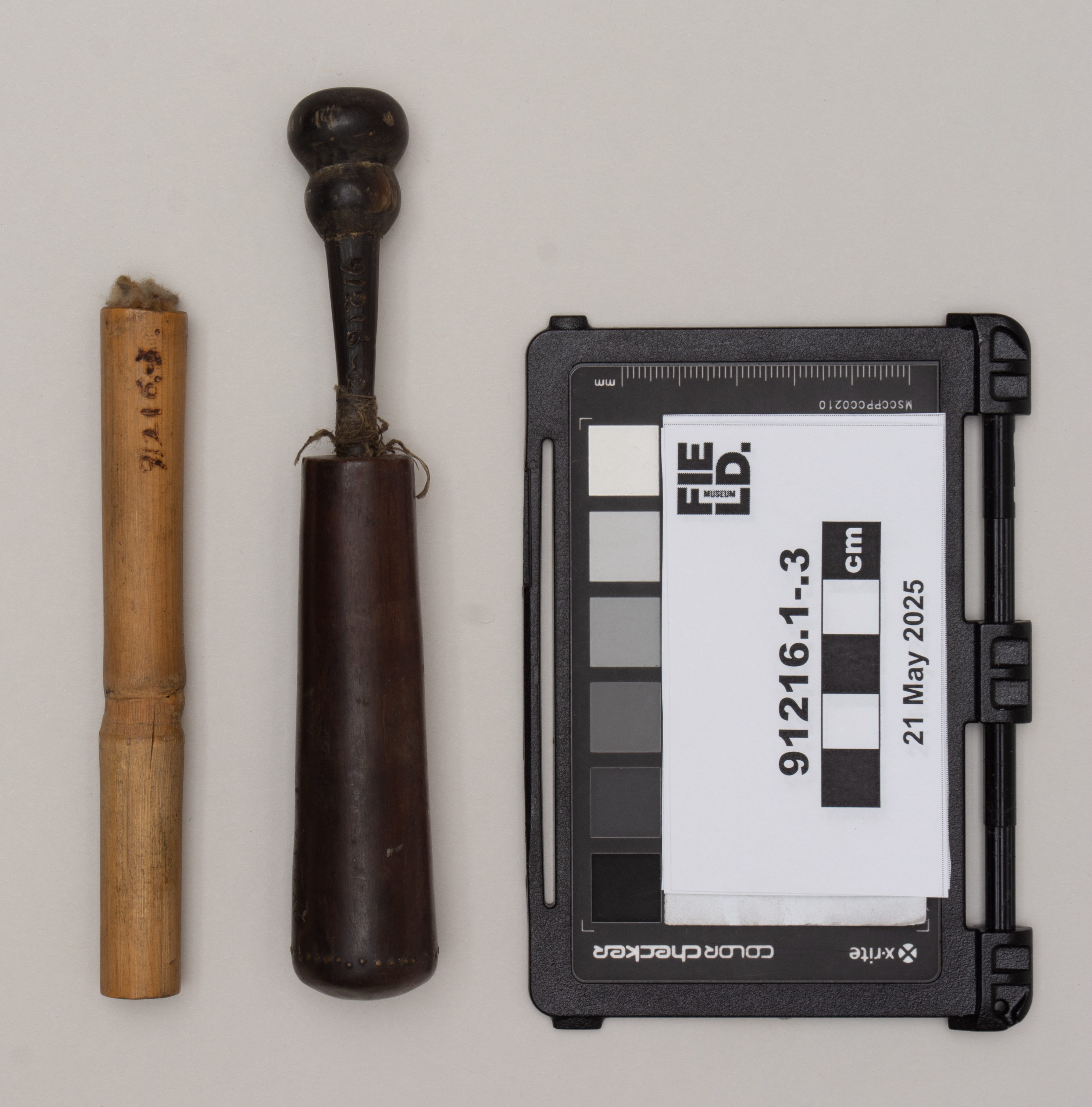 Subs .1-3: side 2 (c) Field Museum of Natural History - CC BY-NC 4.0