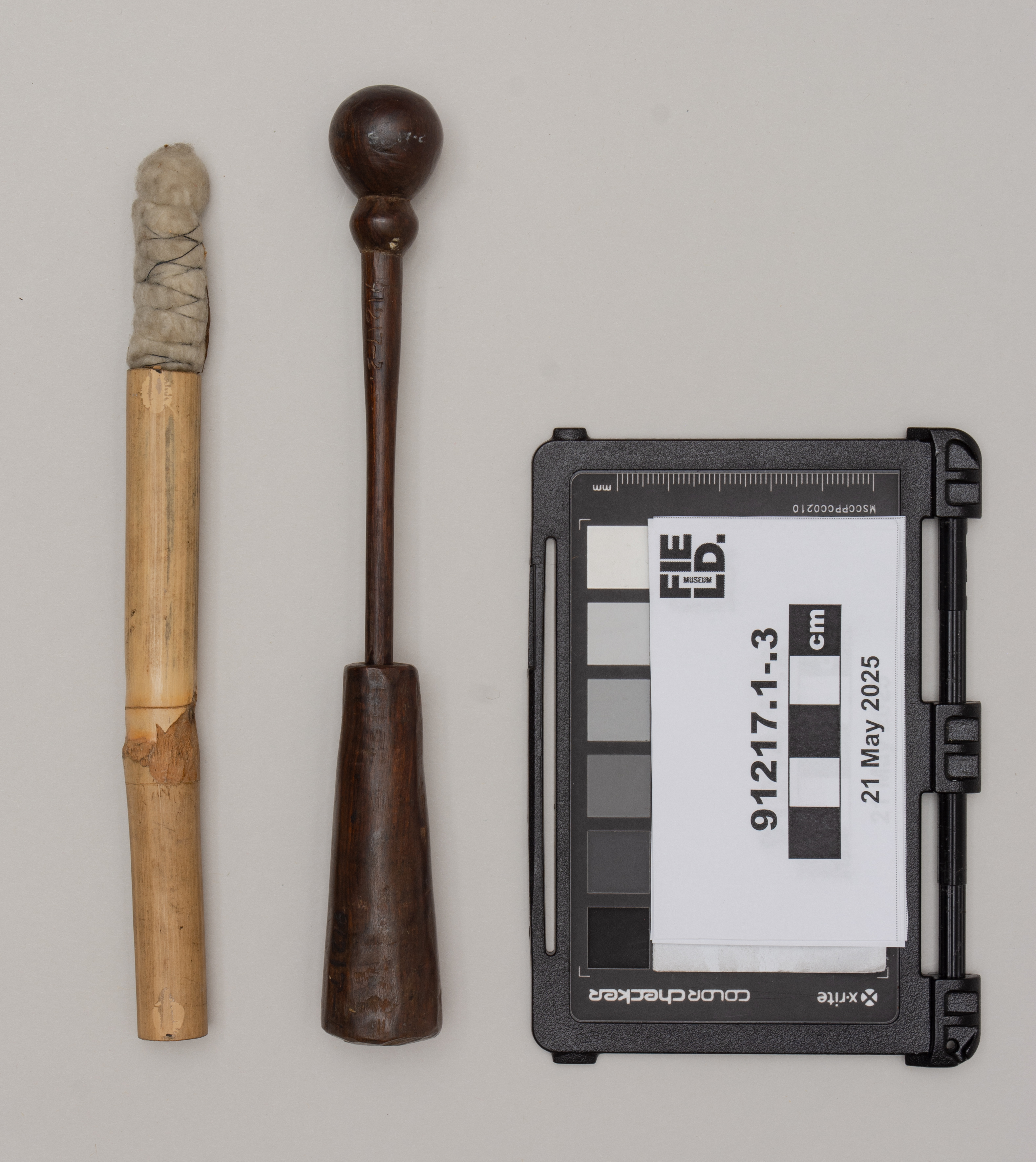 Subs .1-3: side 2 (c) Field Museum of Natural History - CC BY-NC 4.0