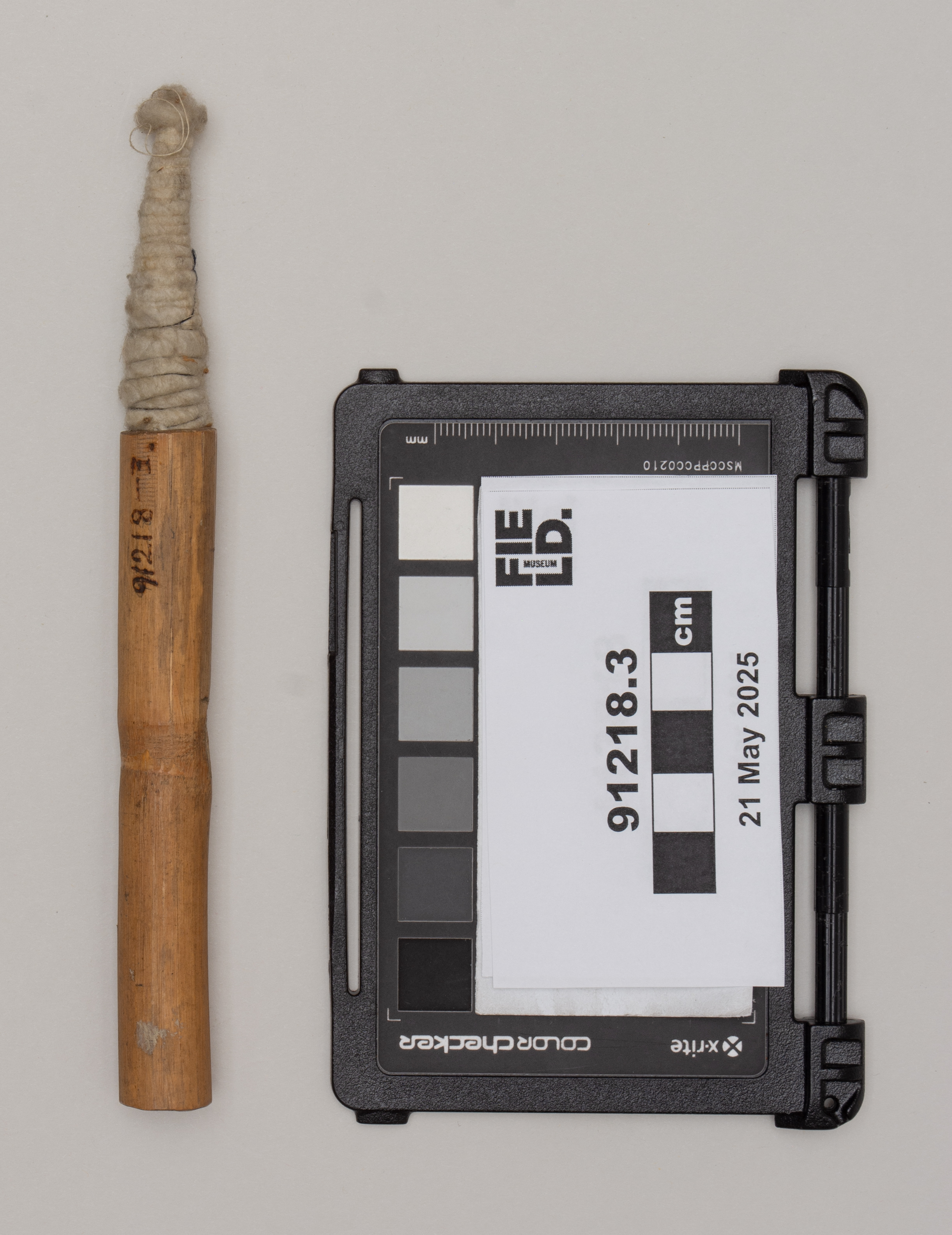 Subs .3: side 1 (c) Field Museum of Natural History - CC BY-NC 4.0