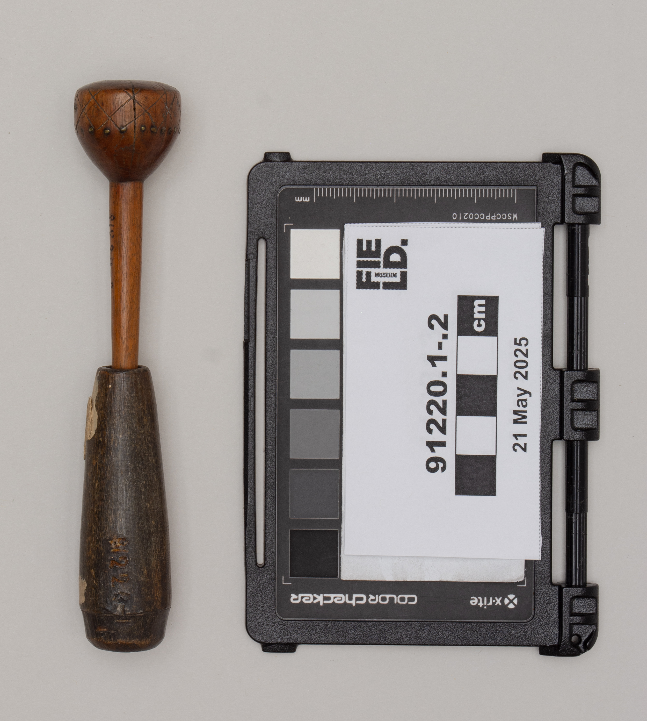 Subs .1-2: side 2 (c) Field Museum of Natural History - CC BY-NC 4.0