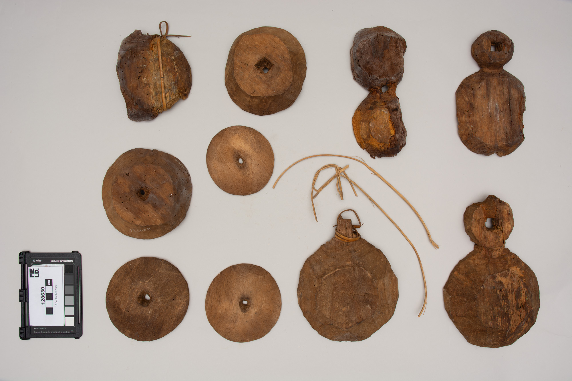 Side 2 (c) Field Museum of Natural History - CC BY-NC 4.0