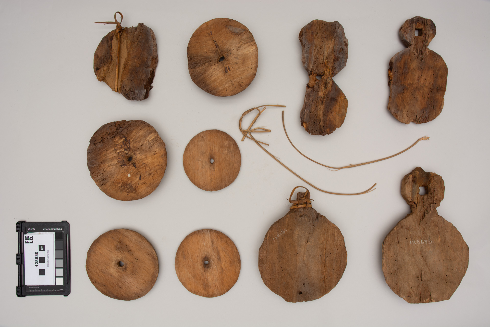 Side 1 (c) Field Museum of Natural History - CC BY-NC 4.0