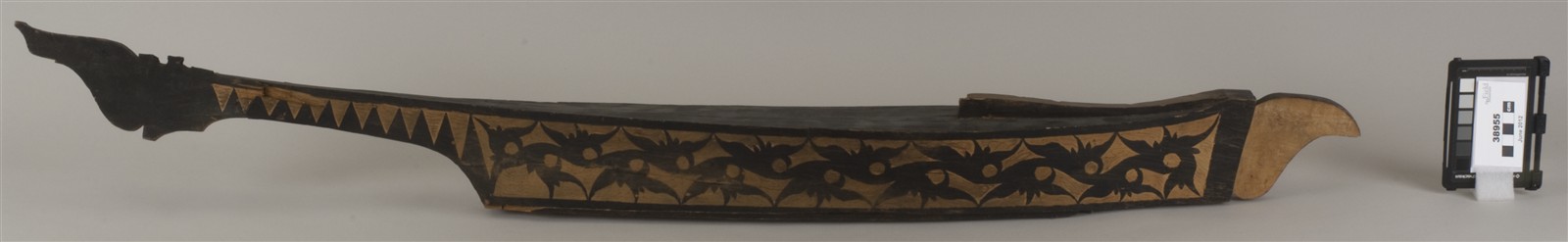 side two (c) Field Museum of Natural History - CC BY-NC 4.0