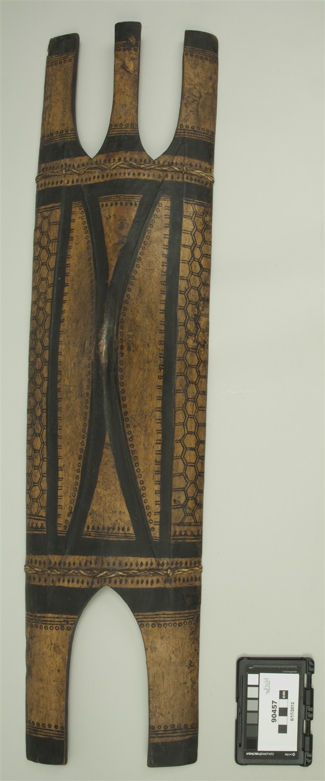 front (c) Field Museum of Natural History - CC BY-NC 4.0