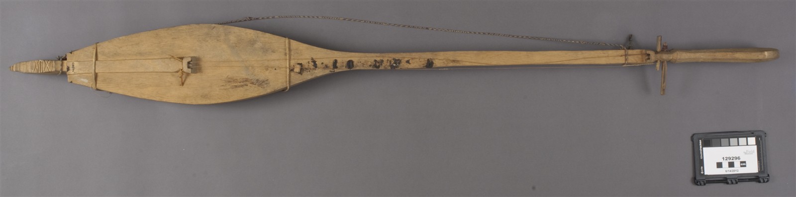 from above (c) Field Museum of Natural History - CC BY-NC 4.0