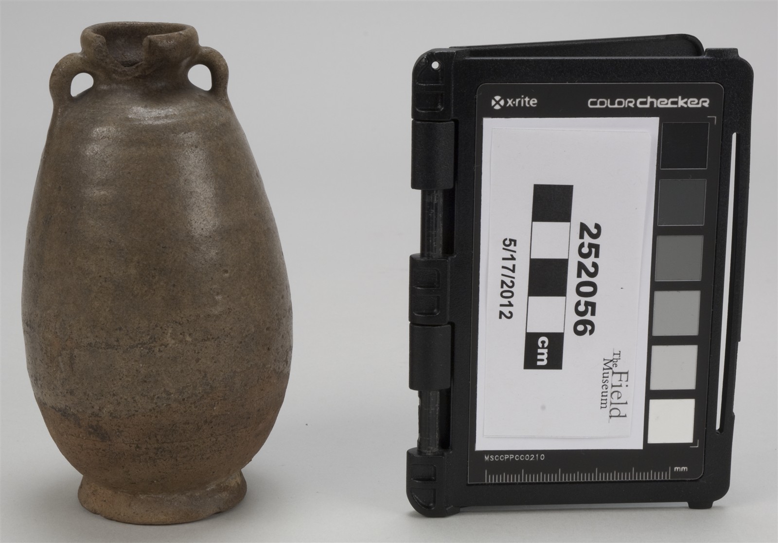 side (c) Field Museum of Natural History - CC BY-NC 4.0