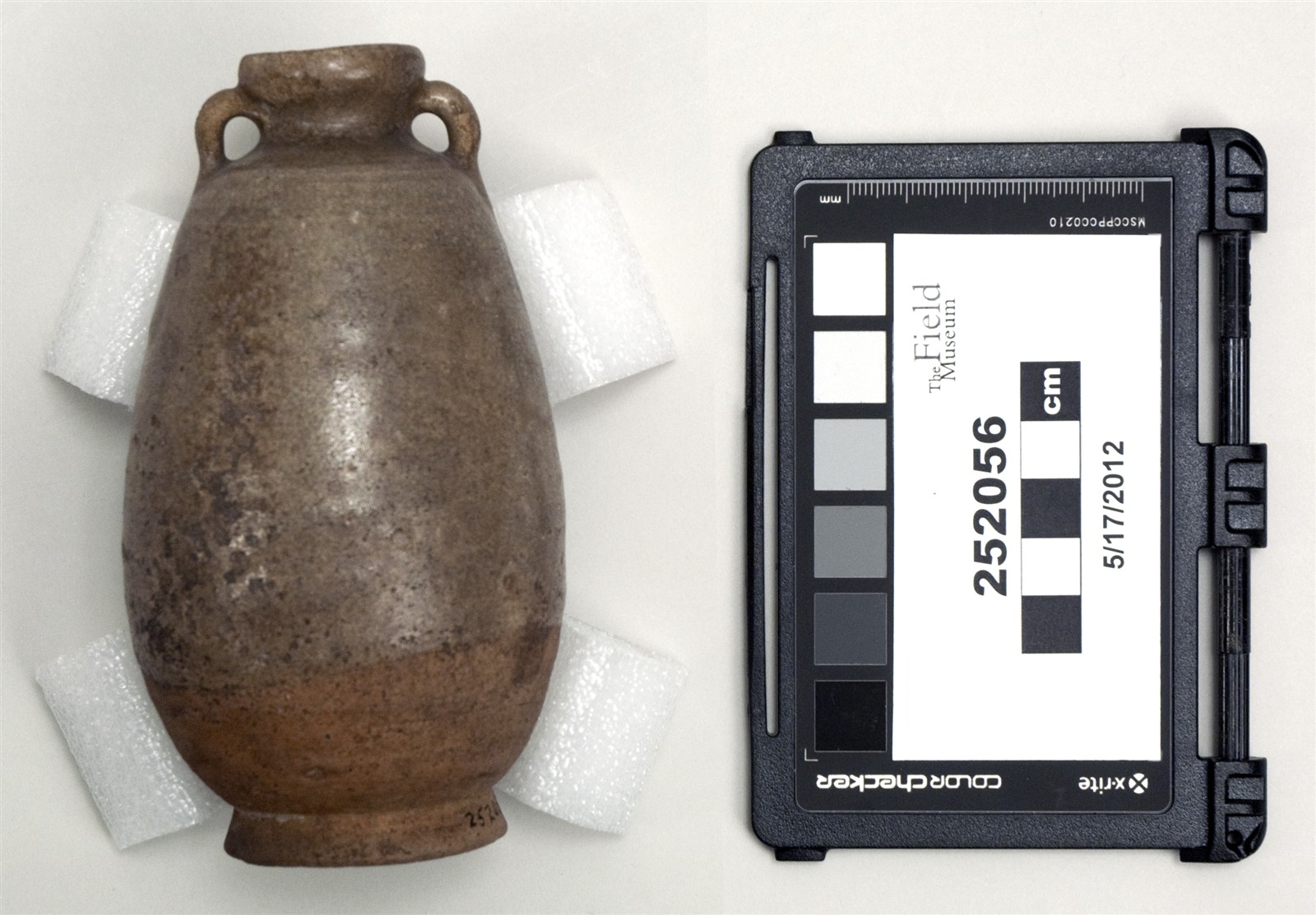 side two (c) Field Museum of Natural History - CC BY-NC 4.0