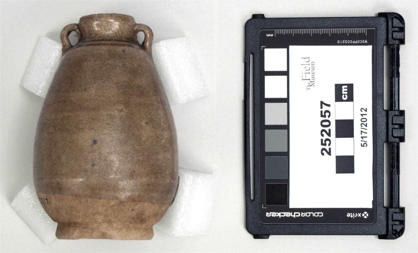 side one (c) Field Museum of Natural History - CC BY-NC 4.0