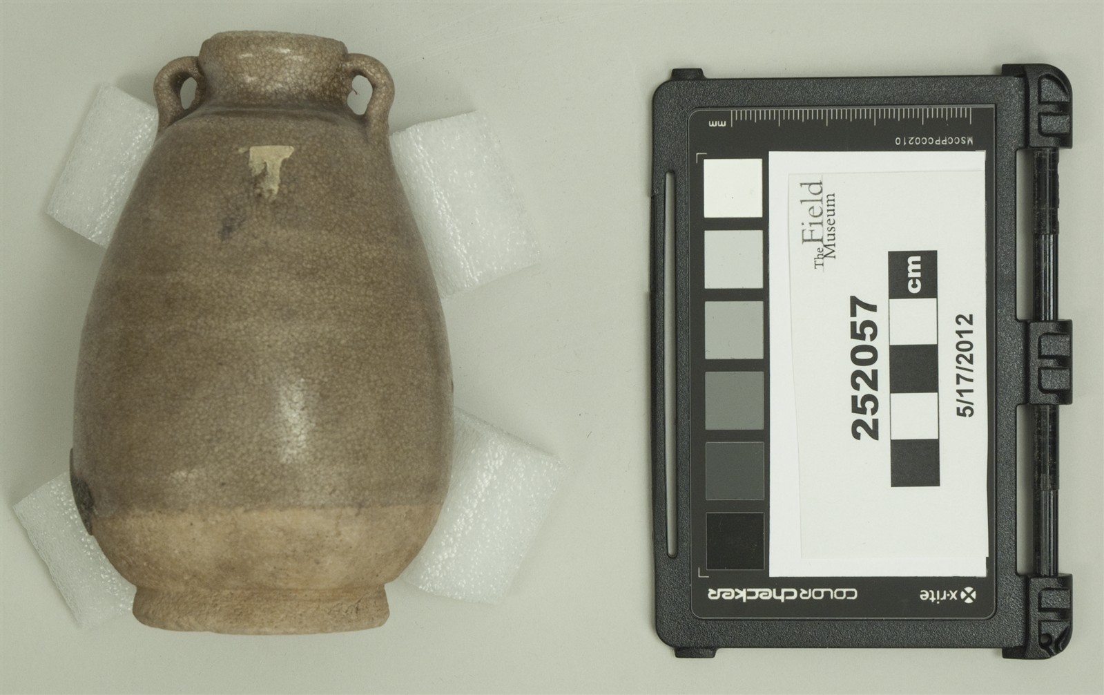 side two (c) Field Museum of Natural History - CC BY-NC 4.0