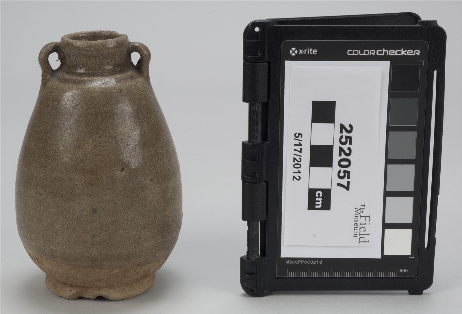 side (c) Field Museum of Natural History - CC BY-NC 4.0