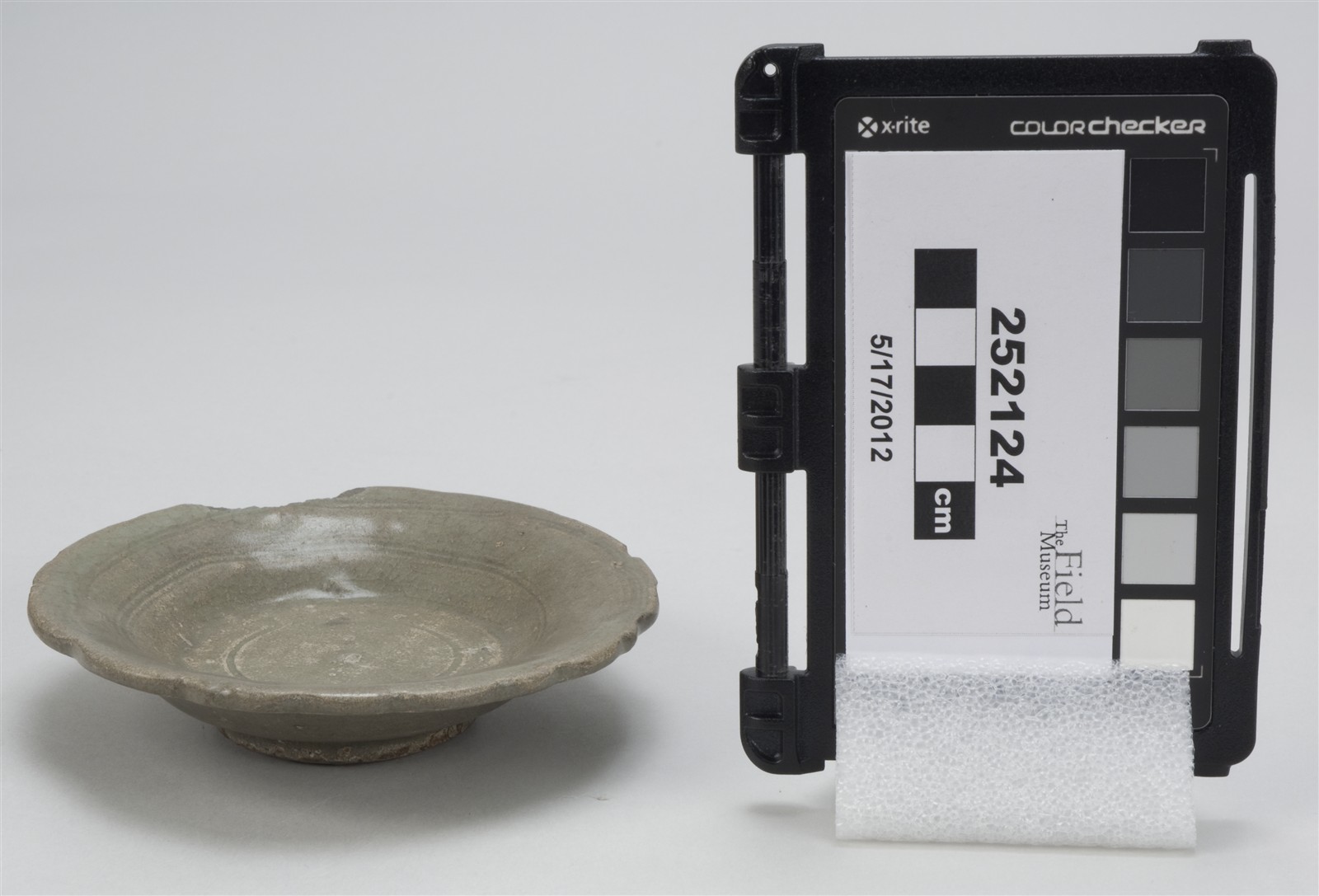 side (c) Field Museum of Natural History - CC BY-NC 4.0