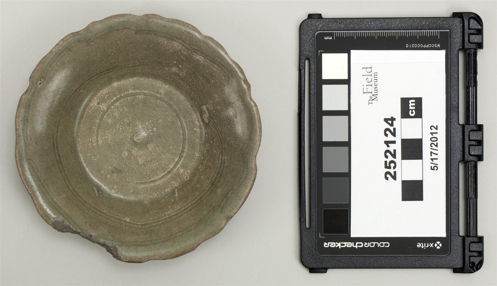 top (c) Field Museum of Natural History - CC BY-NC 4.0