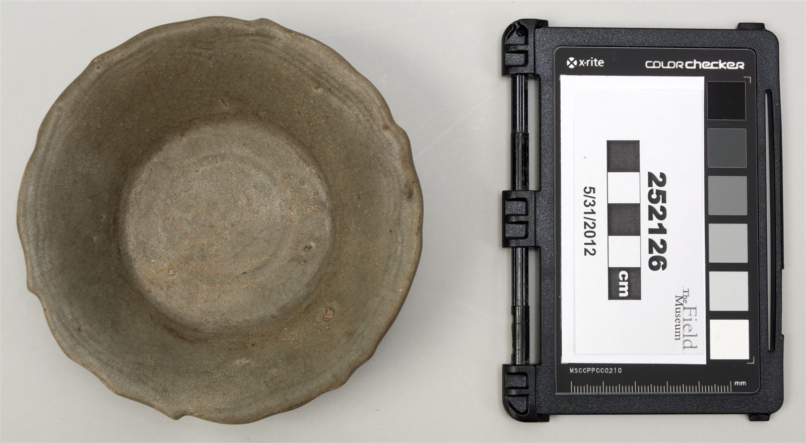 top (c) Field Museum of Natural History - CC BY-NC 4.0