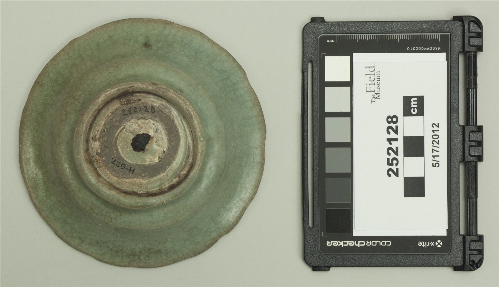 bottom (c) Field Museum of Natural History - CC BY-NC 4.0