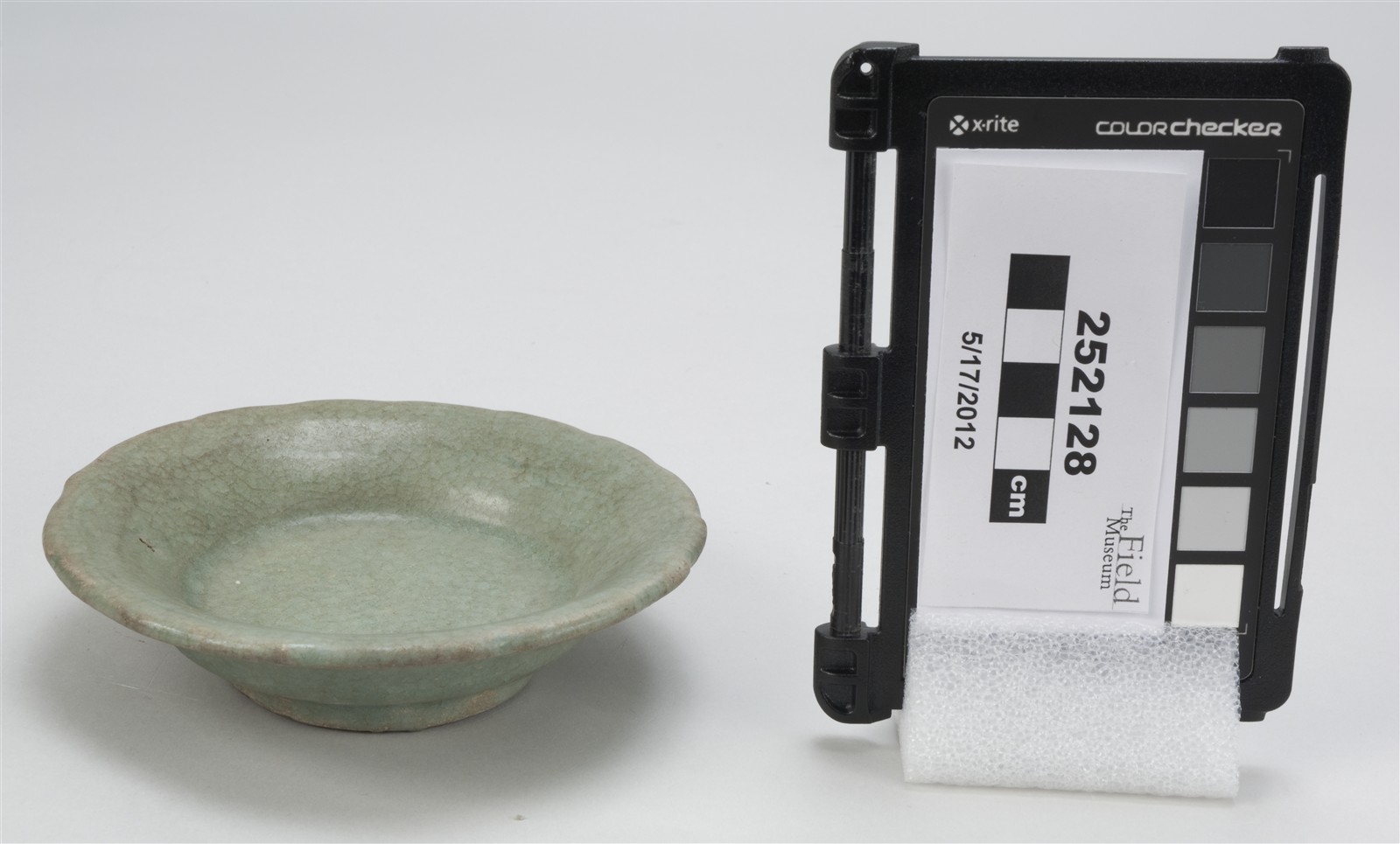 side (c) Field Museum of Natural History - CC BY-NC 4.0