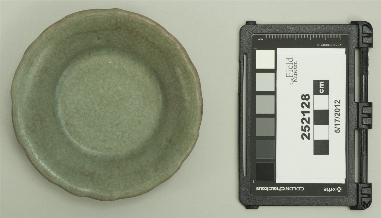 top (c) Field Museum of Natural History - CC BY-NC 4.0