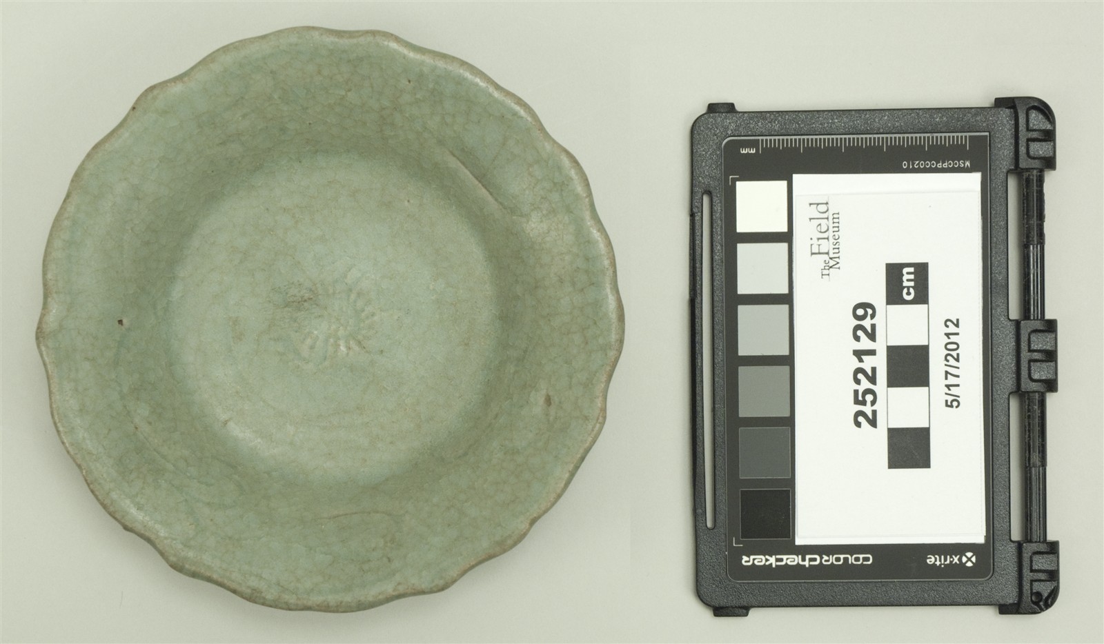 top (c) Field Museum of Natural History - CC BY-NC 4.0