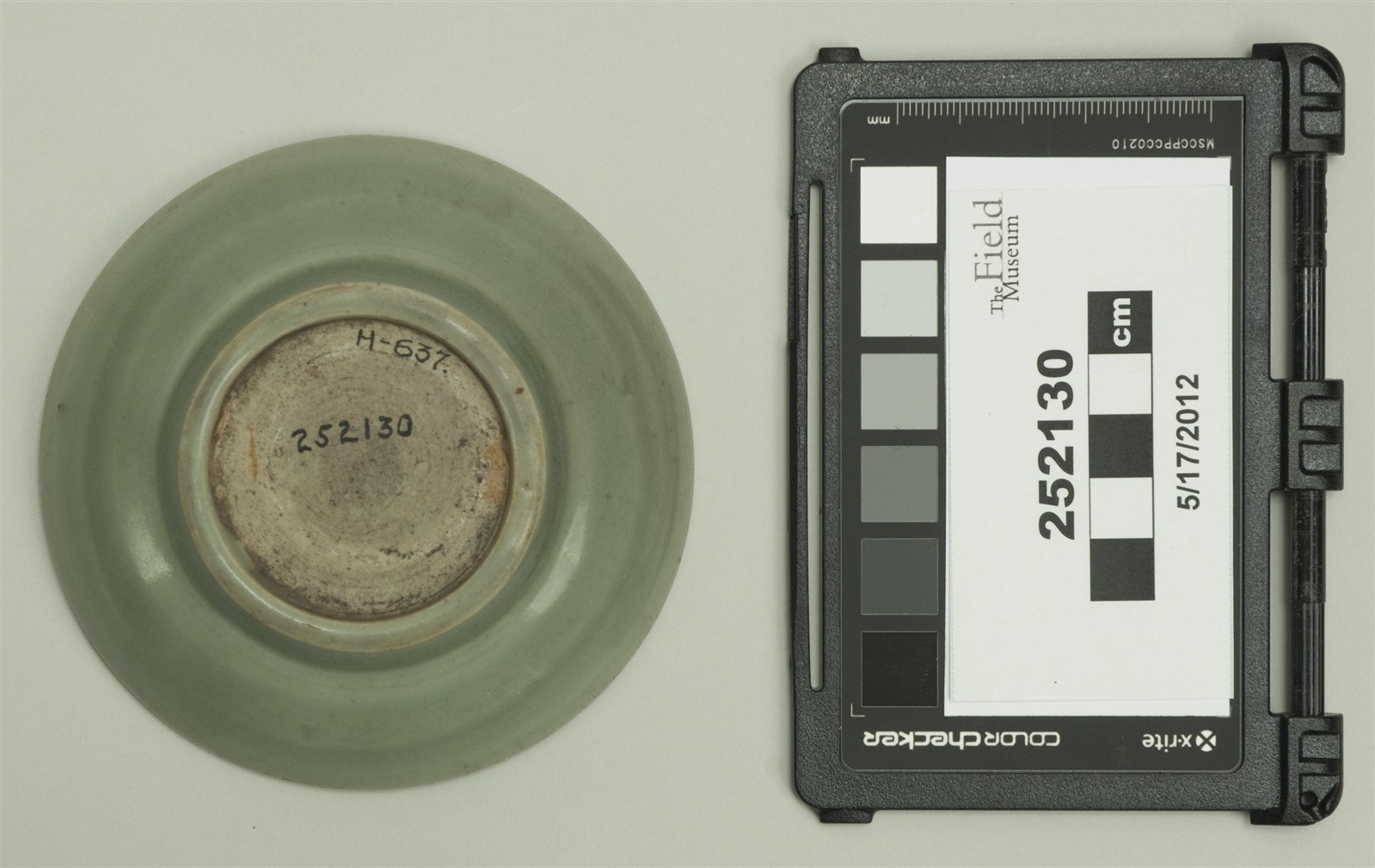 bottom (c) Field Museum of Natural History - CC BY-NC 4.0