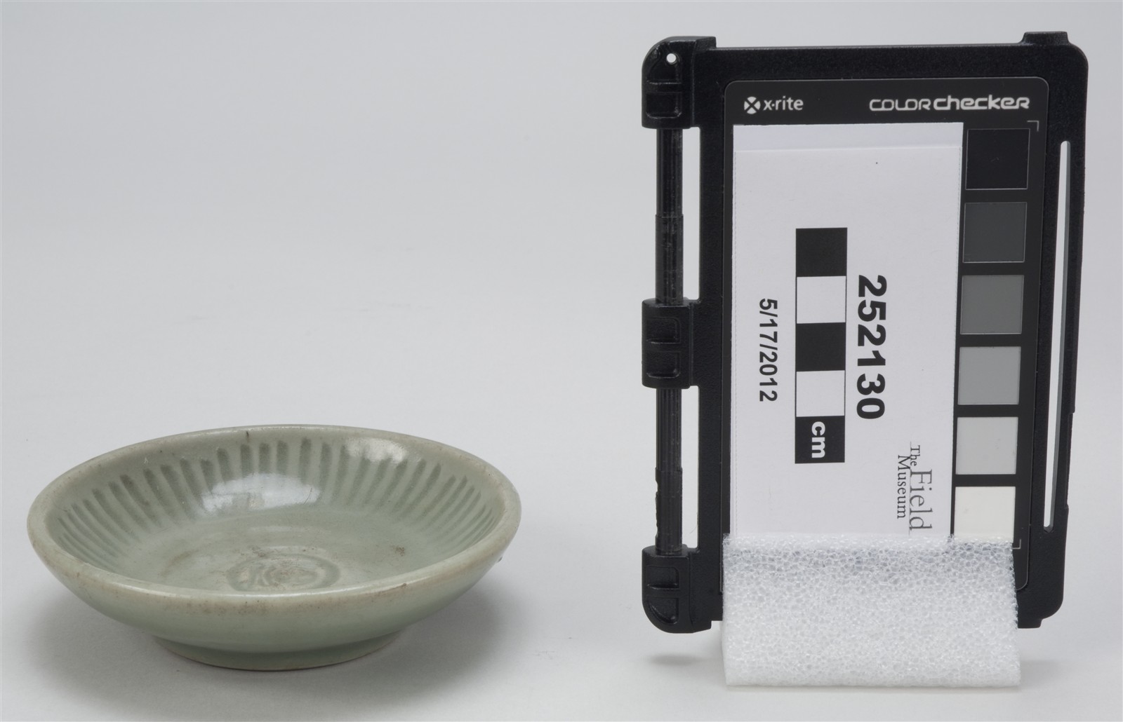 side (c) Field Museum of Natural History - CC BY-NC 4.0