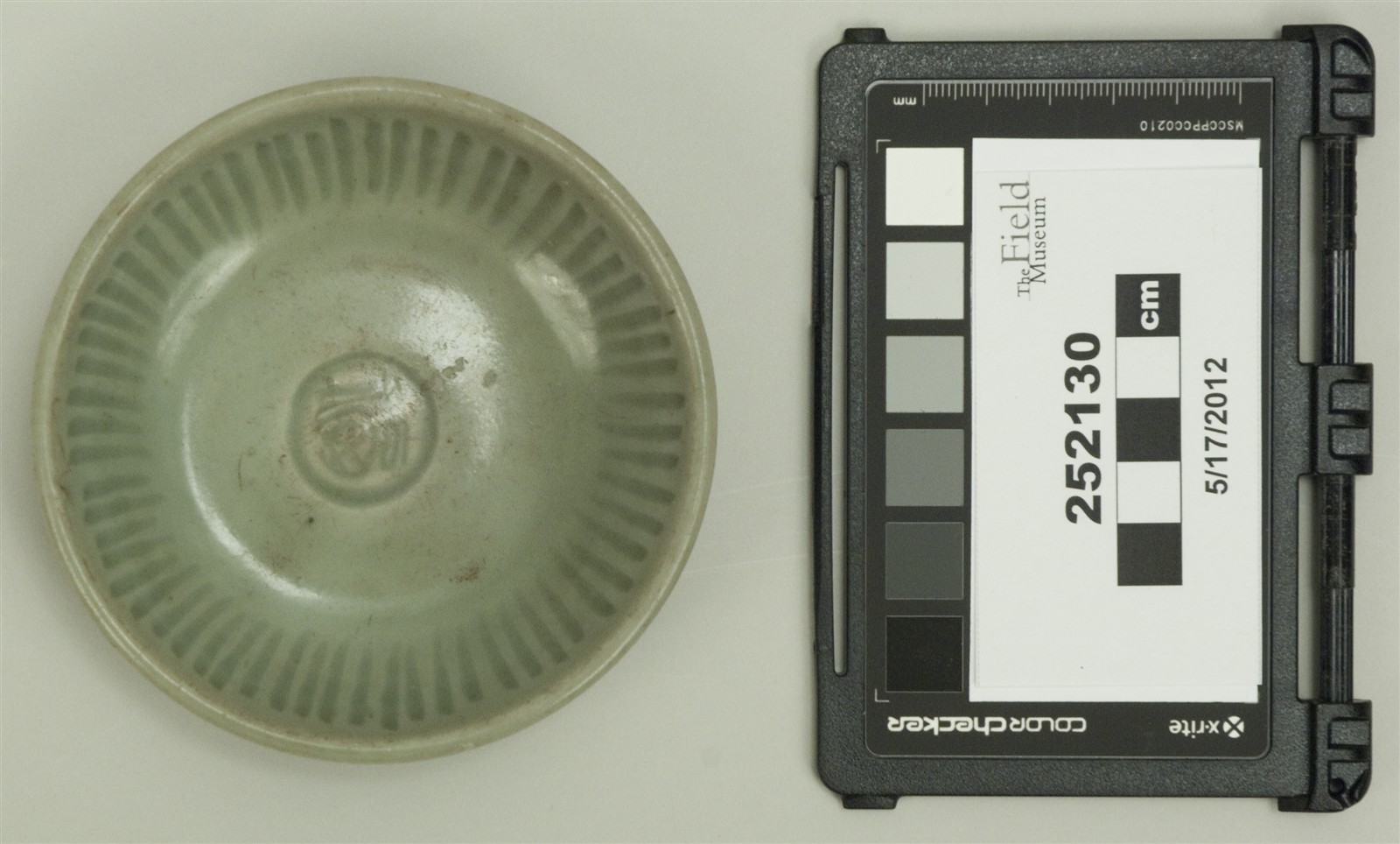 top (c) Field Museum of Natural History - CC BY-NC 4.0