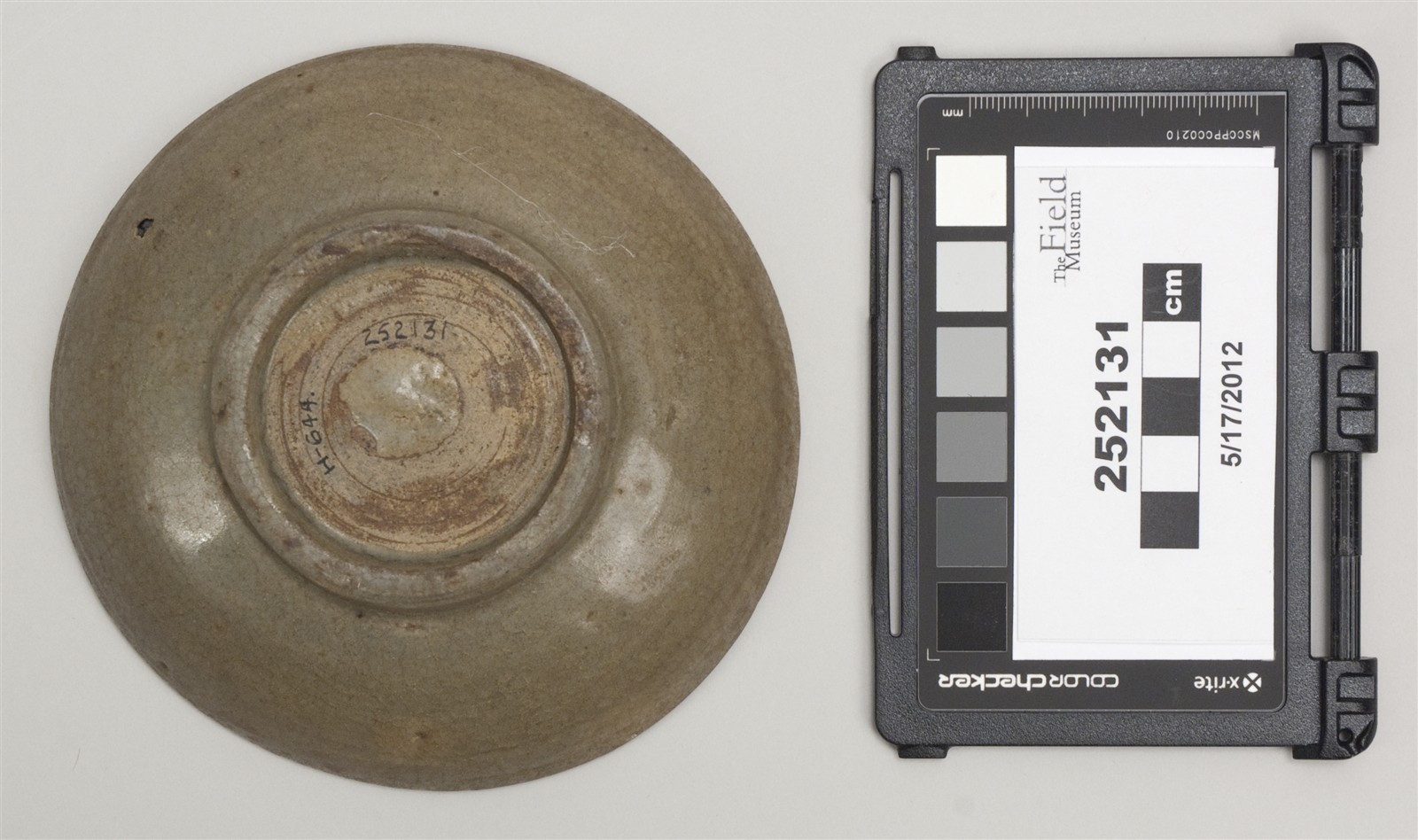 bottom (c) Field Museum of Natural History - CC BY-NC 4.0