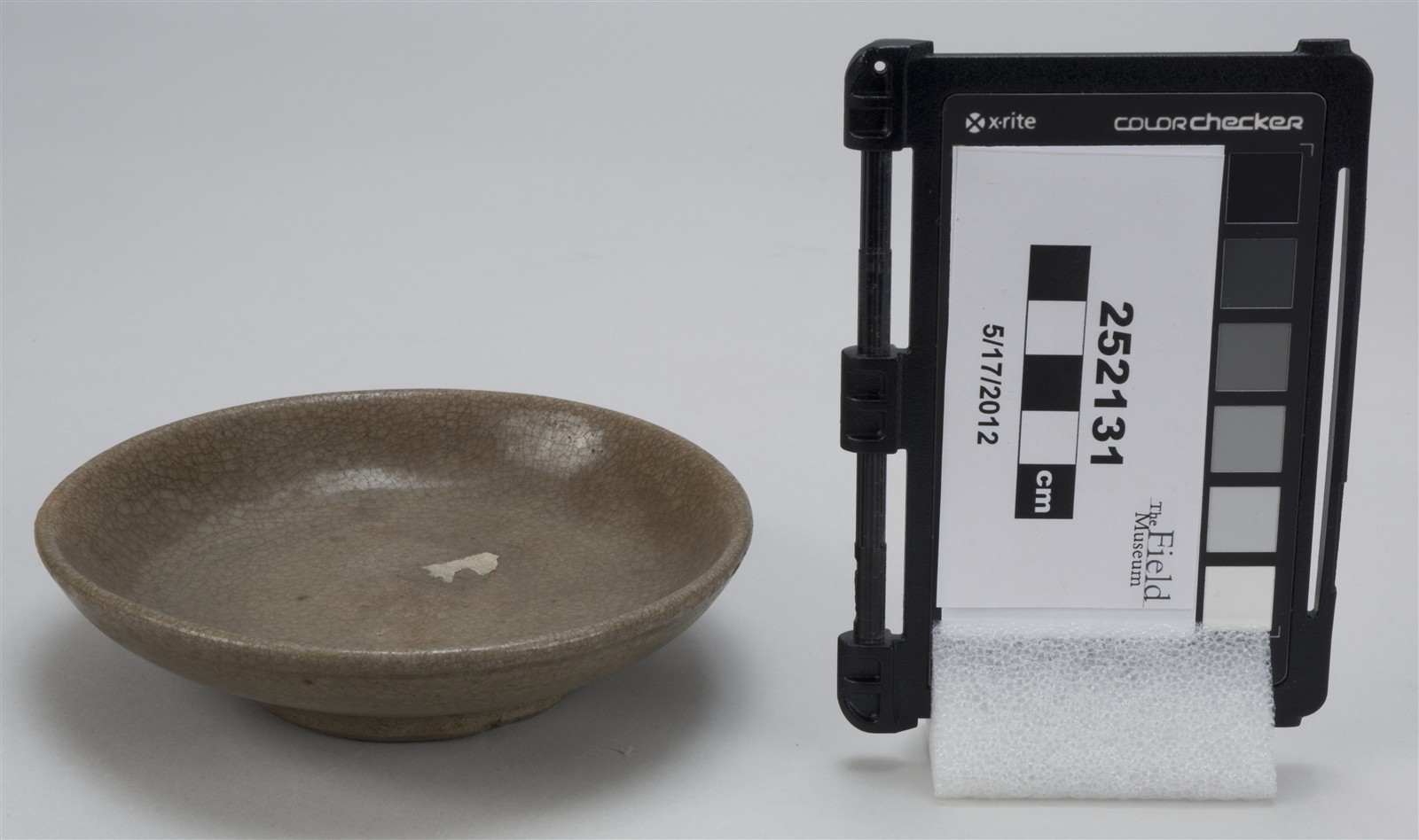 side (c) Field Museum of Natural History - CC BY-NC 4.0