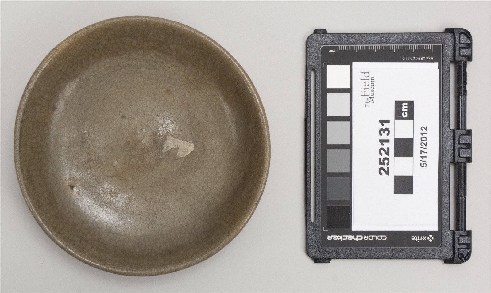 above (c) Field Museum of Natural History - CC BY-NC 4.0