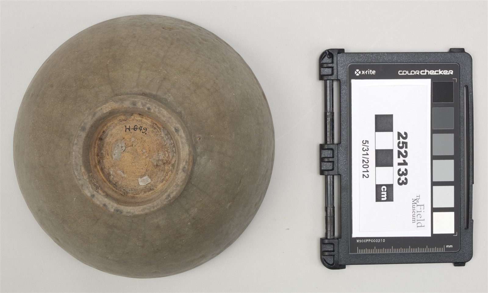 bottom (c) Field Museum of Natural History - CC BY-NC 4.0