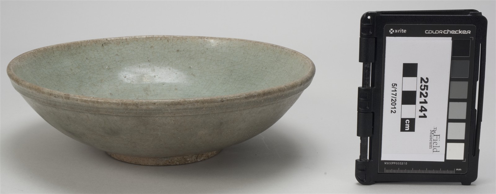 side (c) Field Museum of Natural History - CC BY-NC 4.0