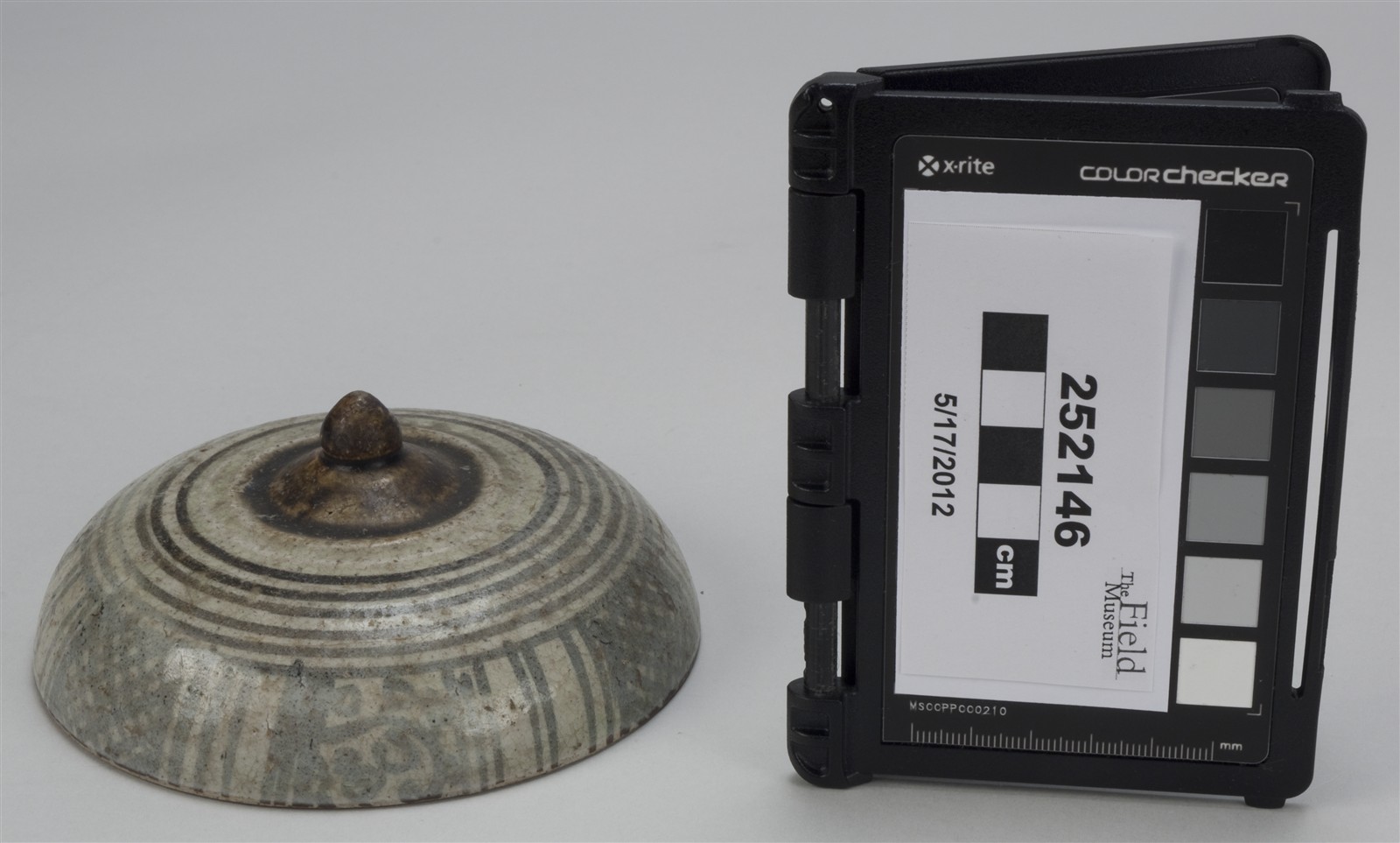 side (c) Field Museum of Natural History - CC BY-NC 4.0