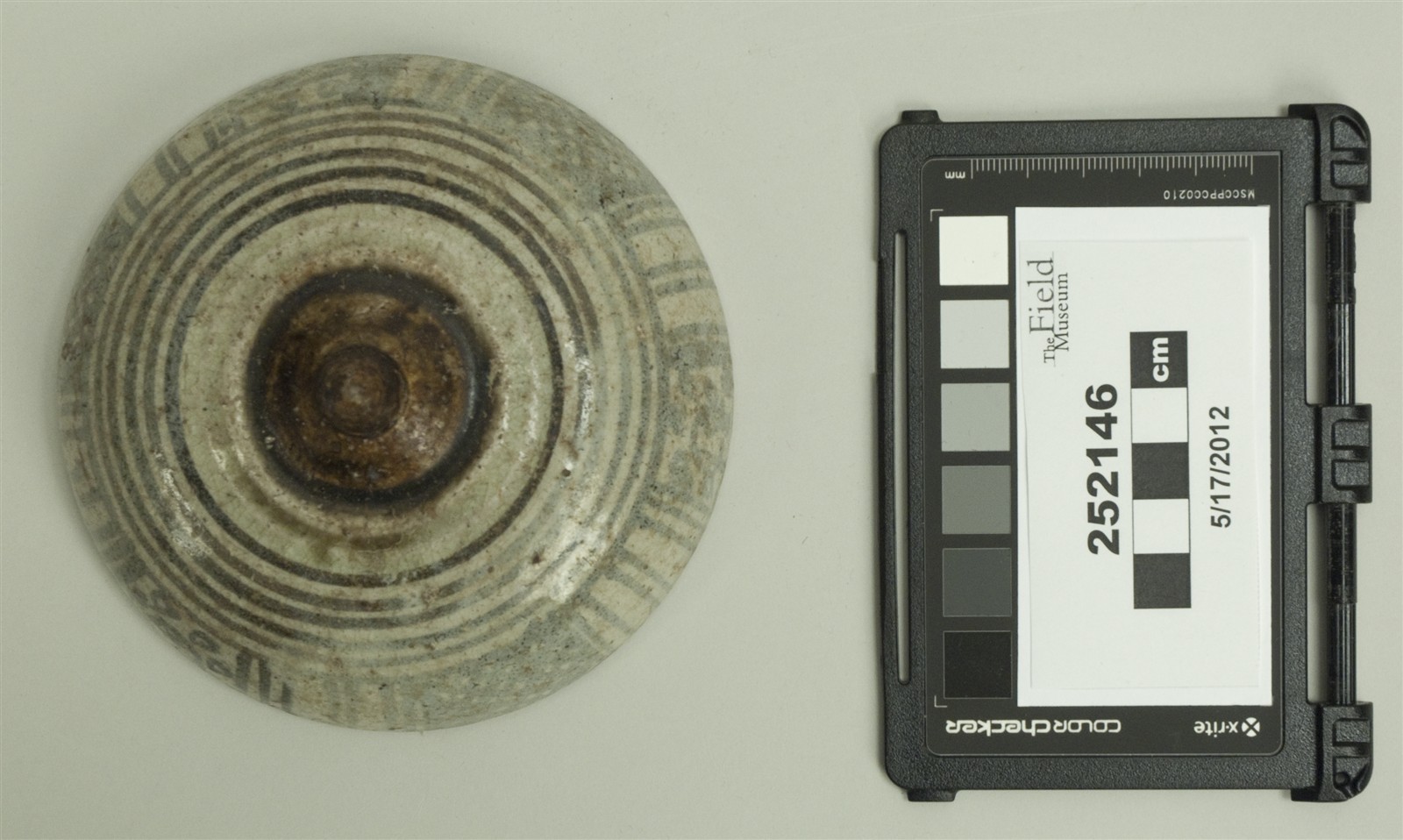 top only (c) Field Museum of Natural History - CC BY-NC 4.0