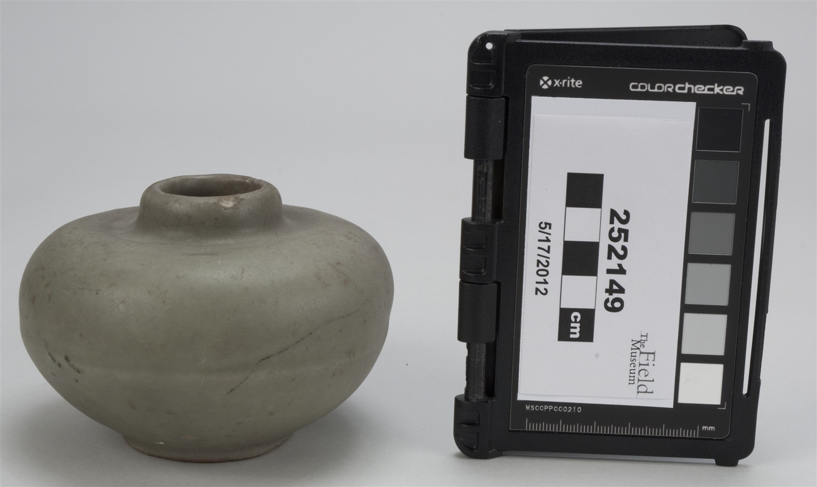 side (c) Field Museum of Natural History - CC BY-NC 4.0