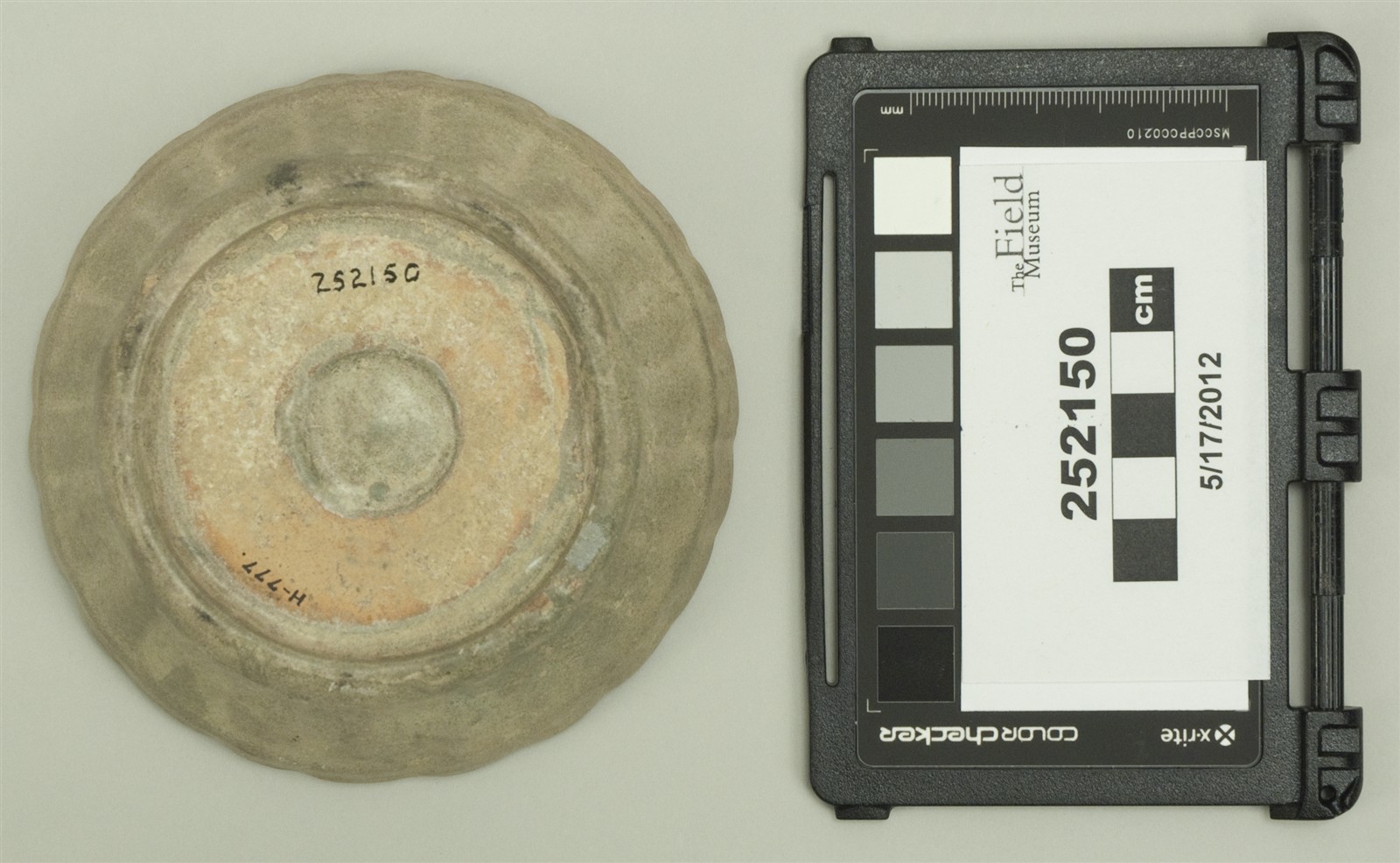 bottom (c) Field Museum of Natural History - CC BY-NC 4.0