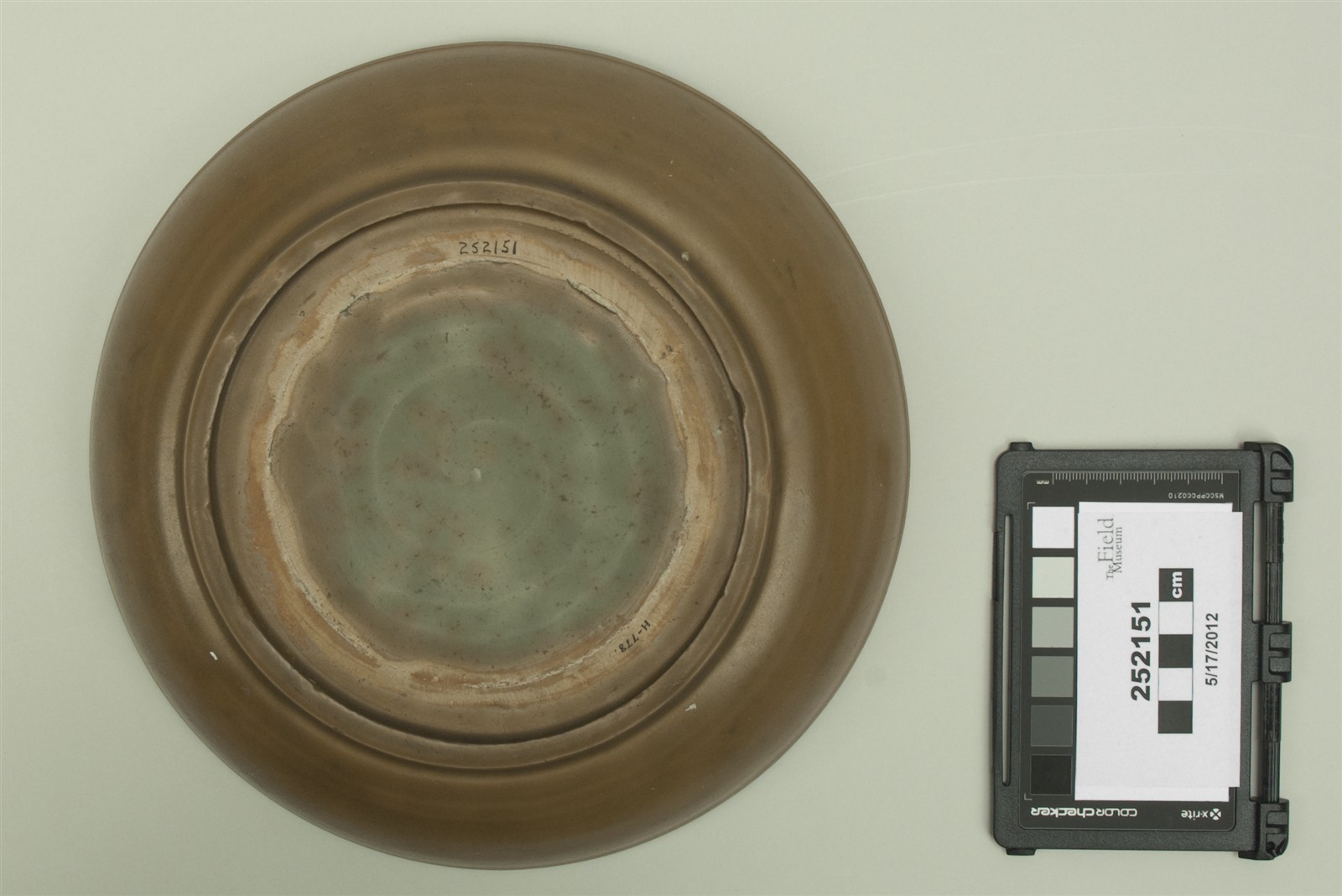 bottom (c) Field Museum of Natural History - CC BY-NC 4.0